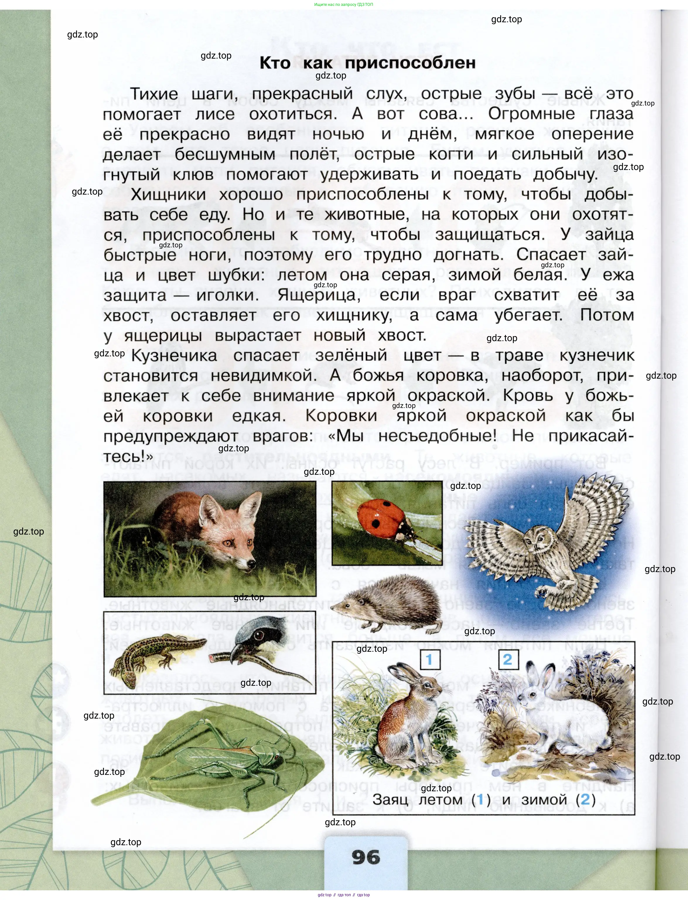Окружающий мир, 3 класс Учебник, автор: Плешаков Андрей Анатольевич, издательство Просвещение, Москва, 2023, белого цвета, Часть 2, страница 96