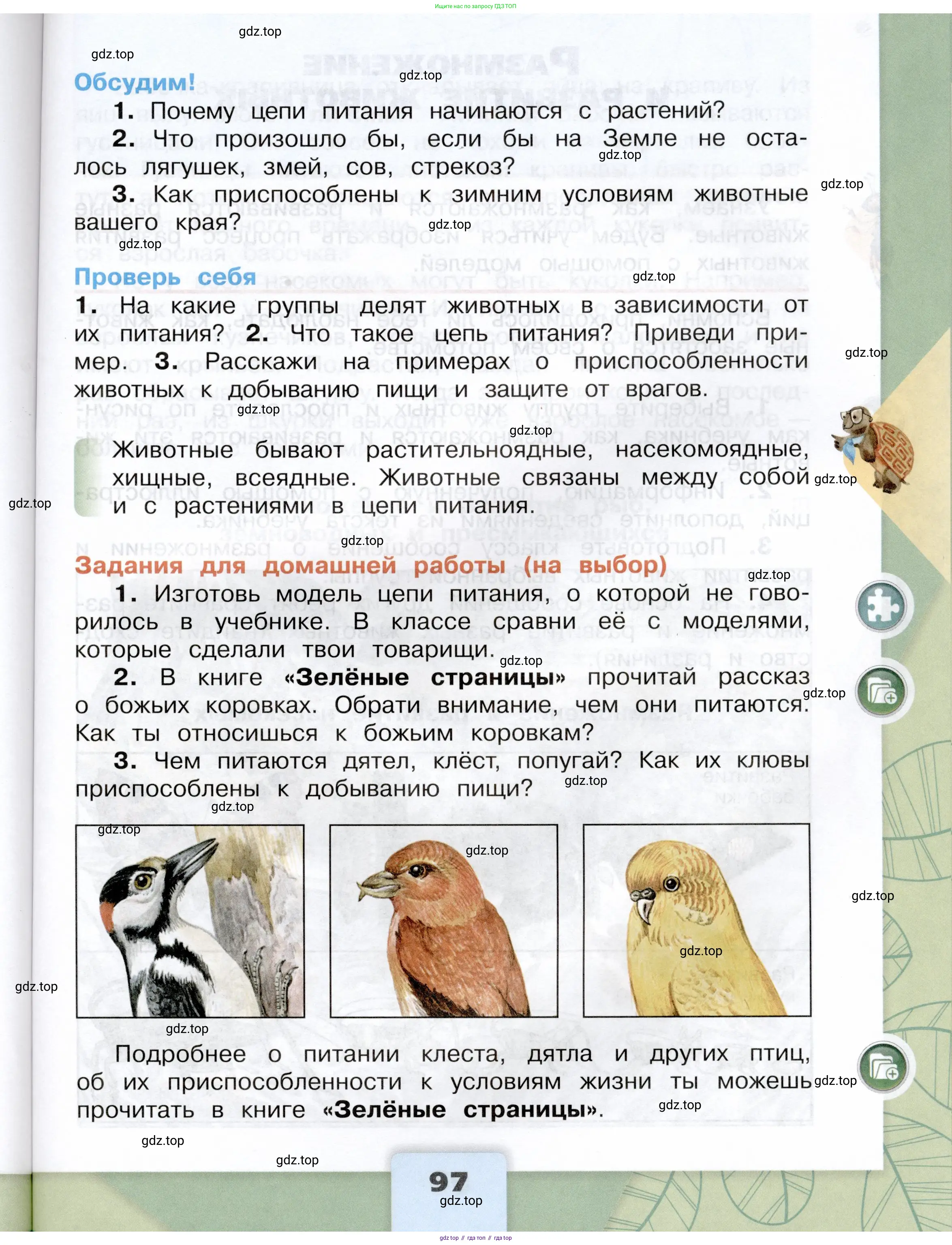 Окружающий мир, 3 класс Учебник, автор: Плешаков Андрей Анатольевич, издательство Просвещение, Москва, 2023, белого цвета, страница 97