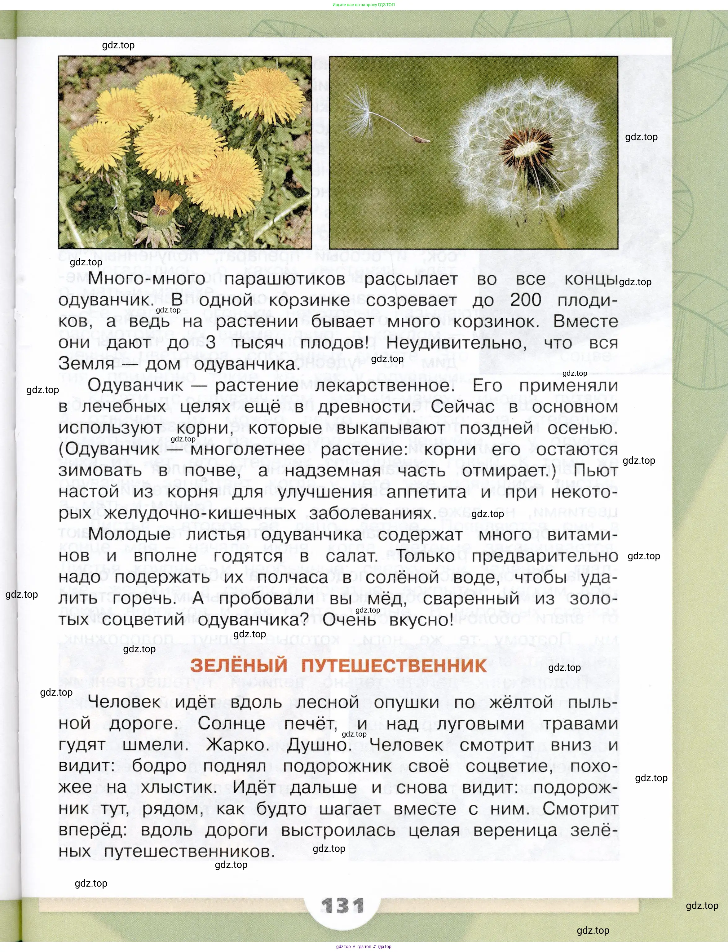 Окружающий мир, 3 класс Учебник, автор: Плешаков Андрей Анатольевич, издательство Просвещение, Москва, 2023, белого цвета, страница 131