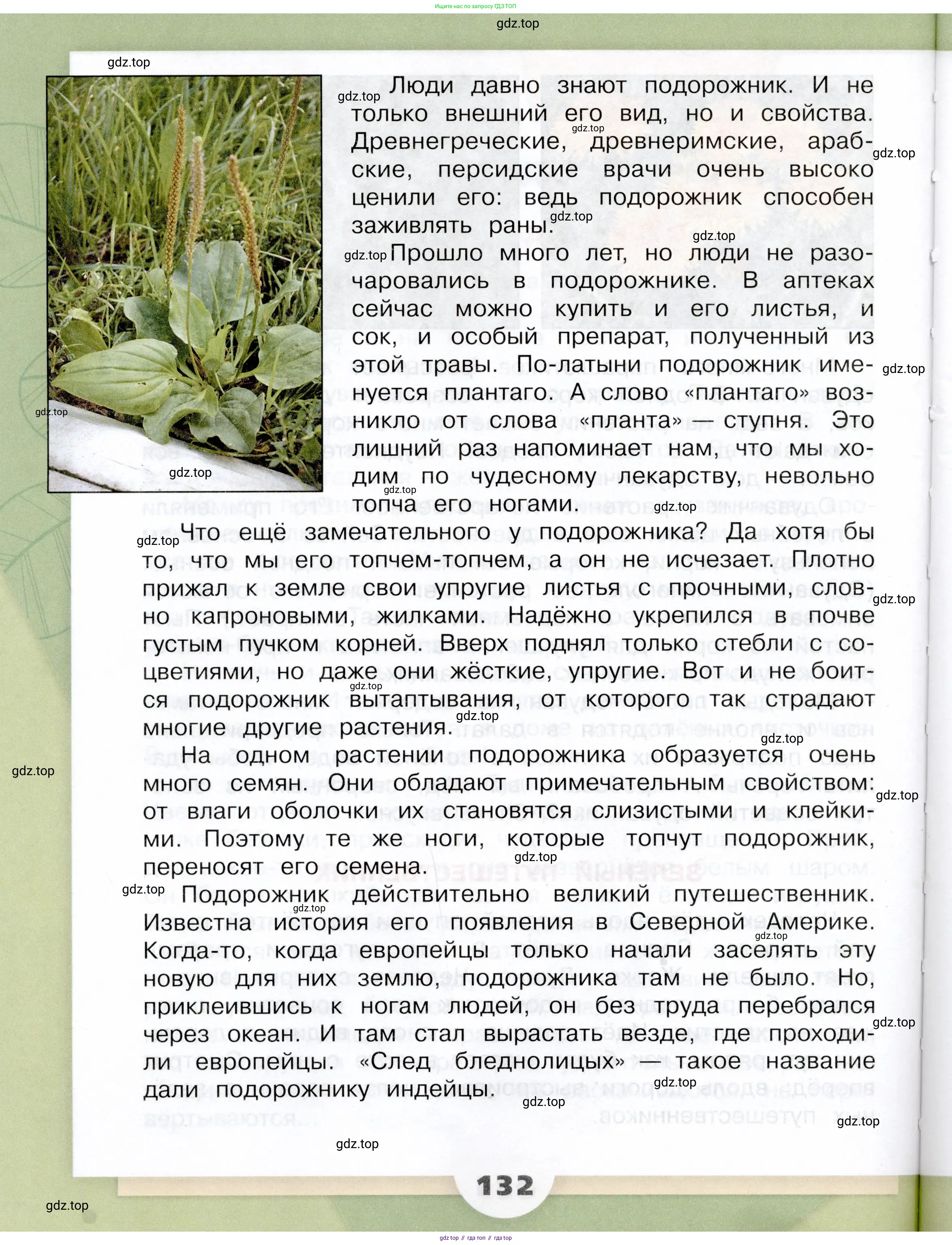 Окружающий мир, 3 класс Учебник, автор: Плешаков Андрей Анатольевич, издательство Просвещение, Москва, 2023, белого цвета, Часть 1, страница 132