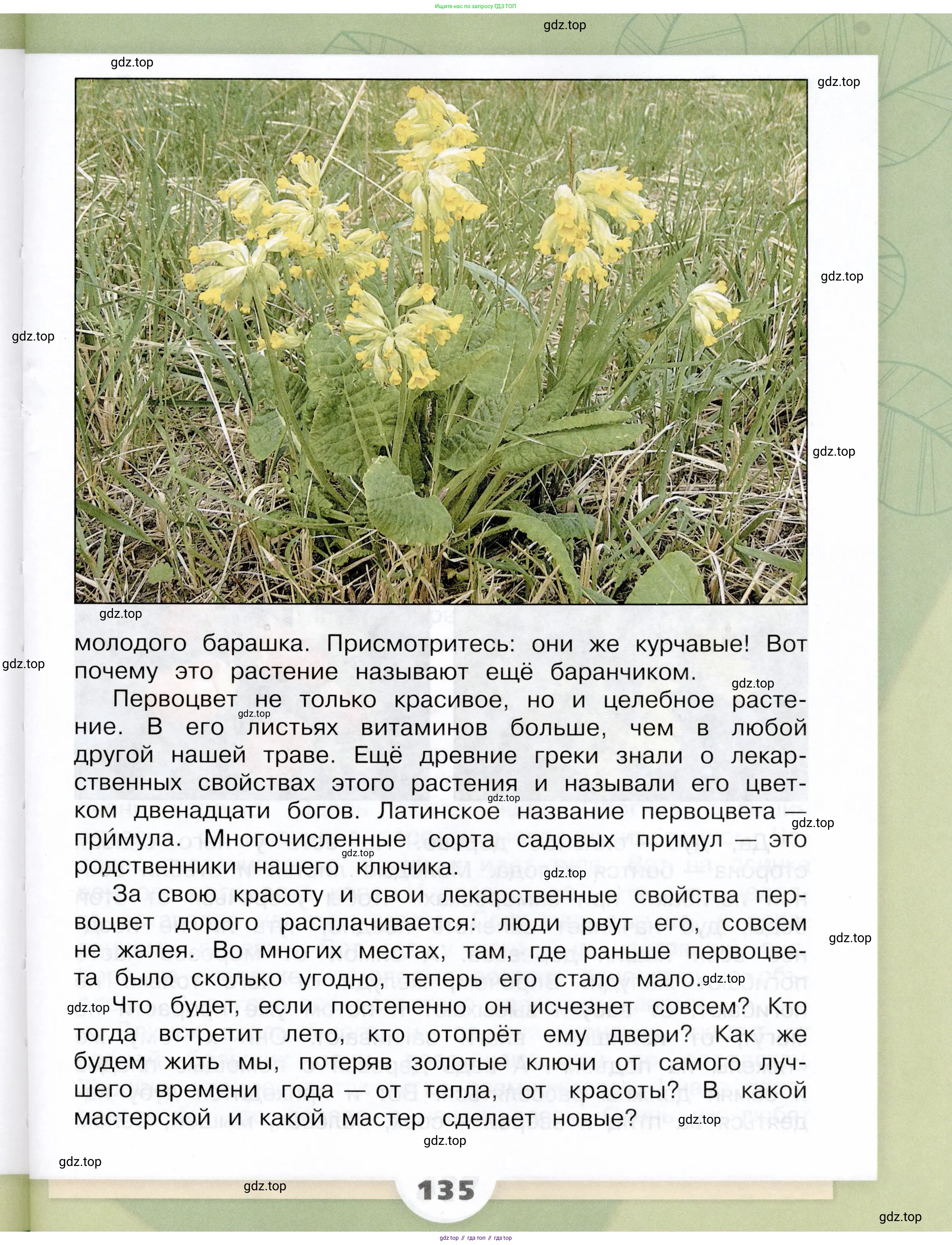 Окружающий мир, 3 класс Учебник, автор: Плешаков Андрей Анатольевич, издательство Просвещение, Москва, 2023, белого цвета, Часть 1, страница 135