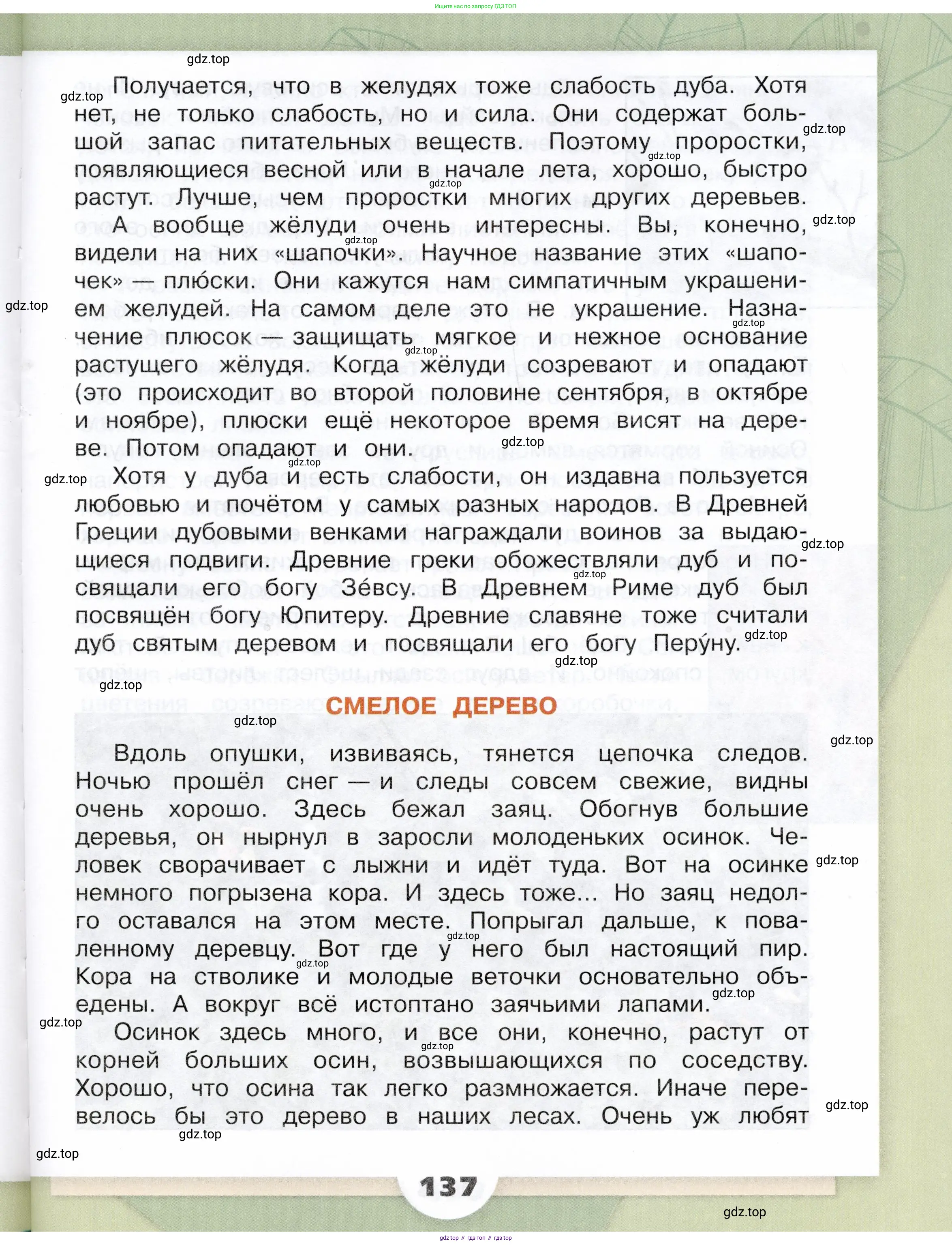 Окружающий мир, 3 класс Учебник, автор: Плешаков Андрей Анатольевич, издательство Просвещение, Москва, 2023, белого цвета, страница 137