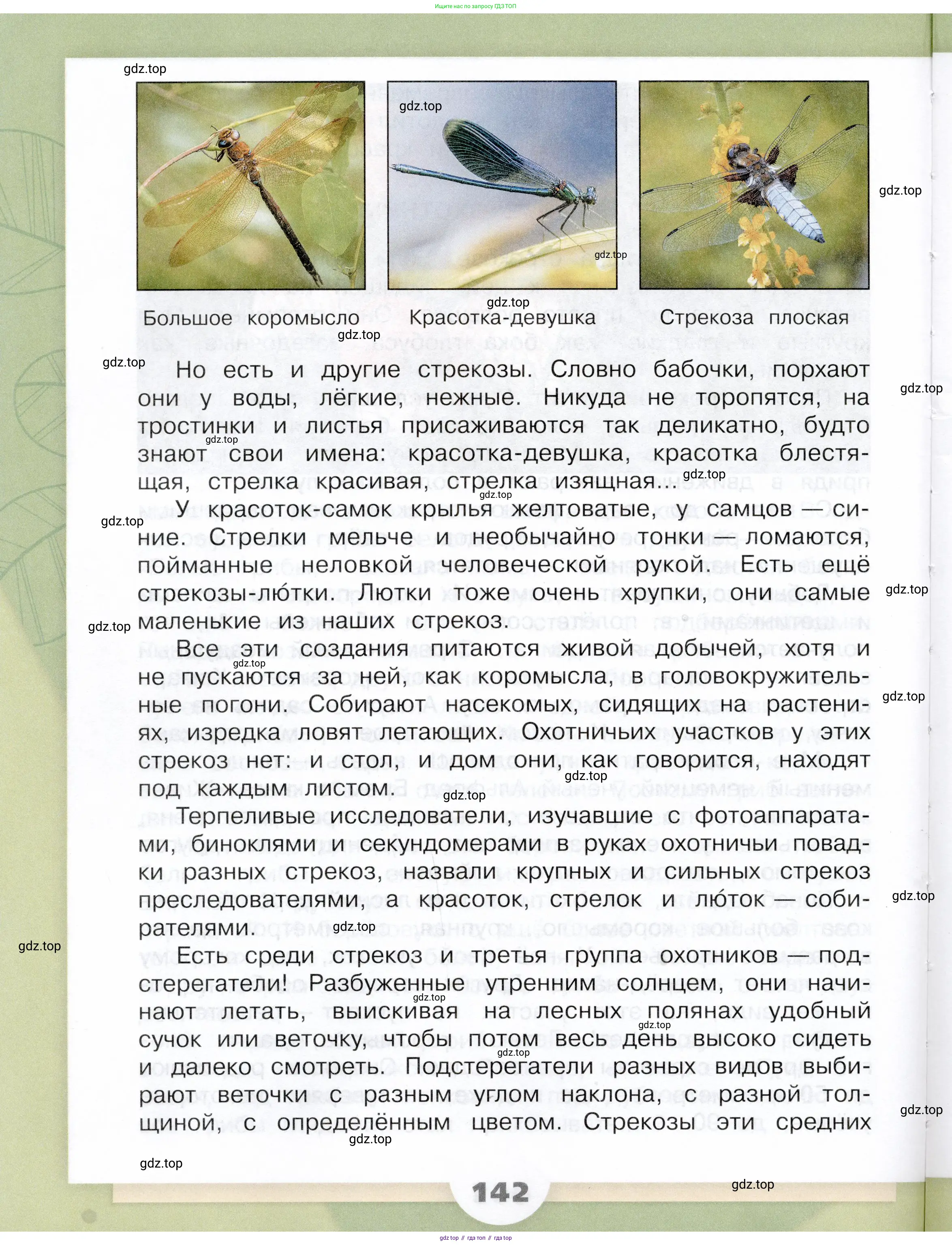 Окружающий мир, 3 класс Учебник, автор: Плешаков Андрей Анатольевич, издательство Просвещение, Москва, 2023, белого цвета, страница 142