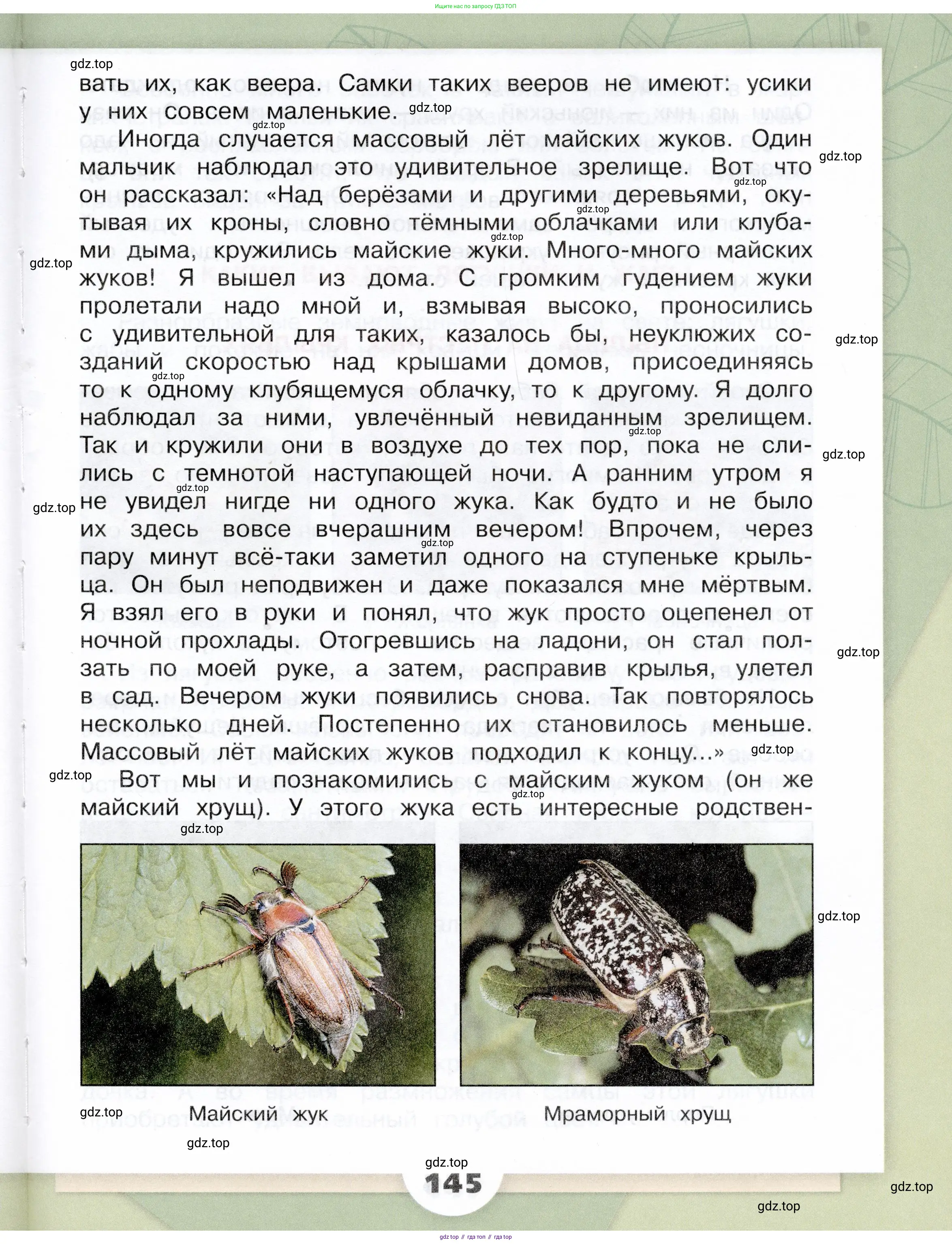 Окружающий мир, 3 класс Учебник, автор: Плешаков Андрей Анатольевич, издательство Просвещение, Москва, 2023, белого цвета, страница 145