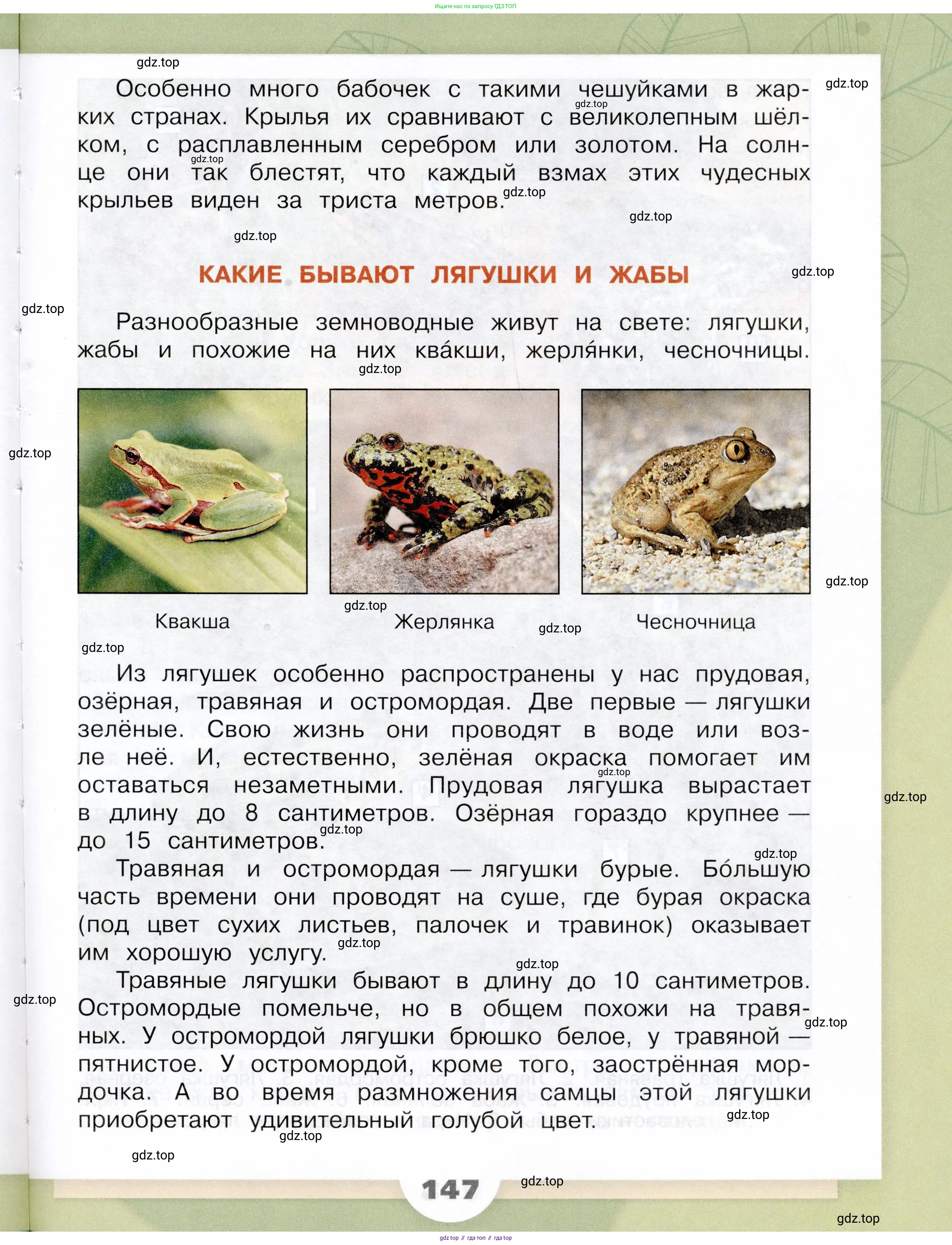 Окружающий мир, 3 класс Учебник, автор: Плешаков Андрей Анатольевич, издательство Просвещение, Москва, 2023, белого цвета, страница 147
