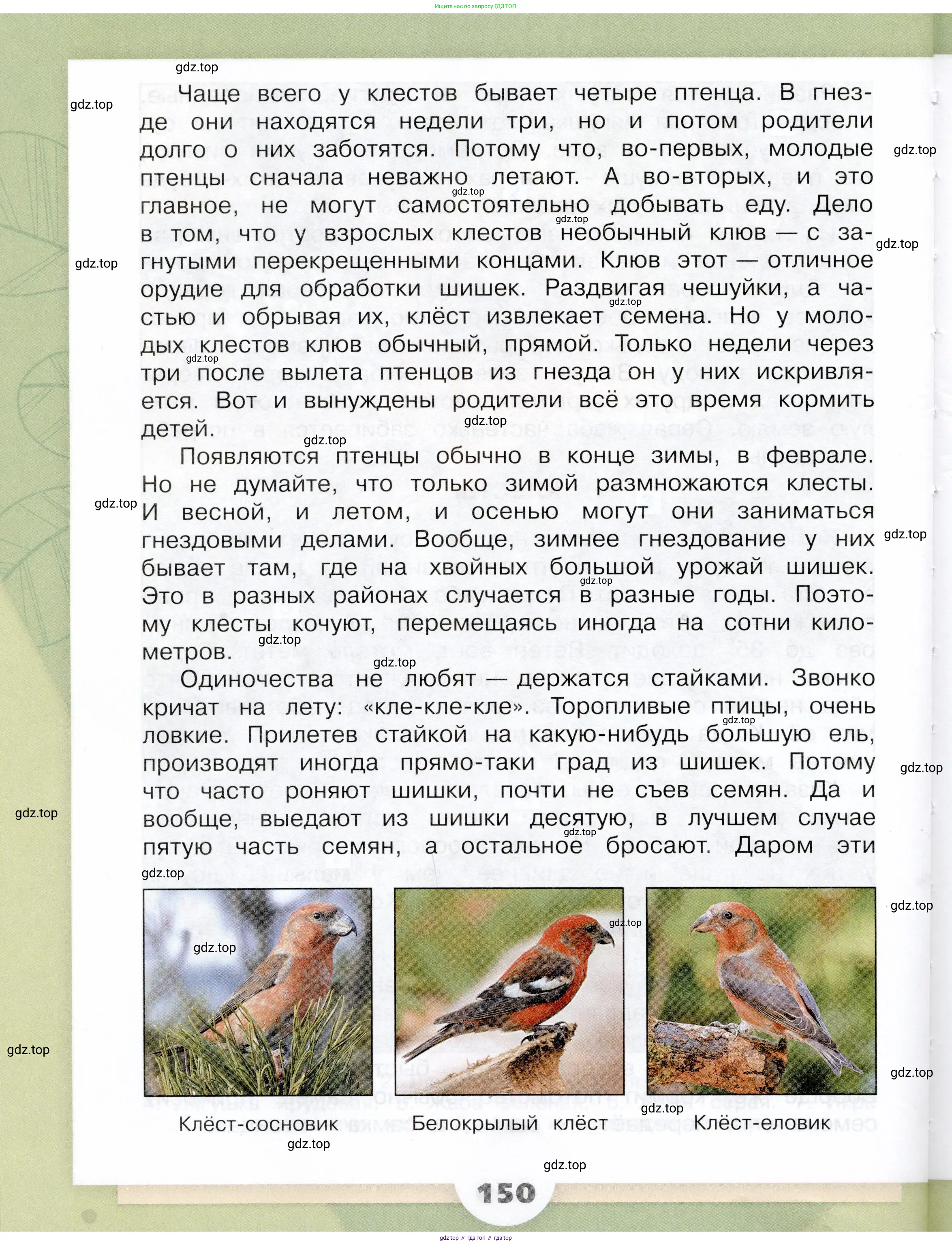 Окружающий мир, 3 класс Учебник, автор: Плешаков Андрей Анатольевич, издательство Просвещение, Москва, 2023, белого цвета, Часть 1, страница 150
