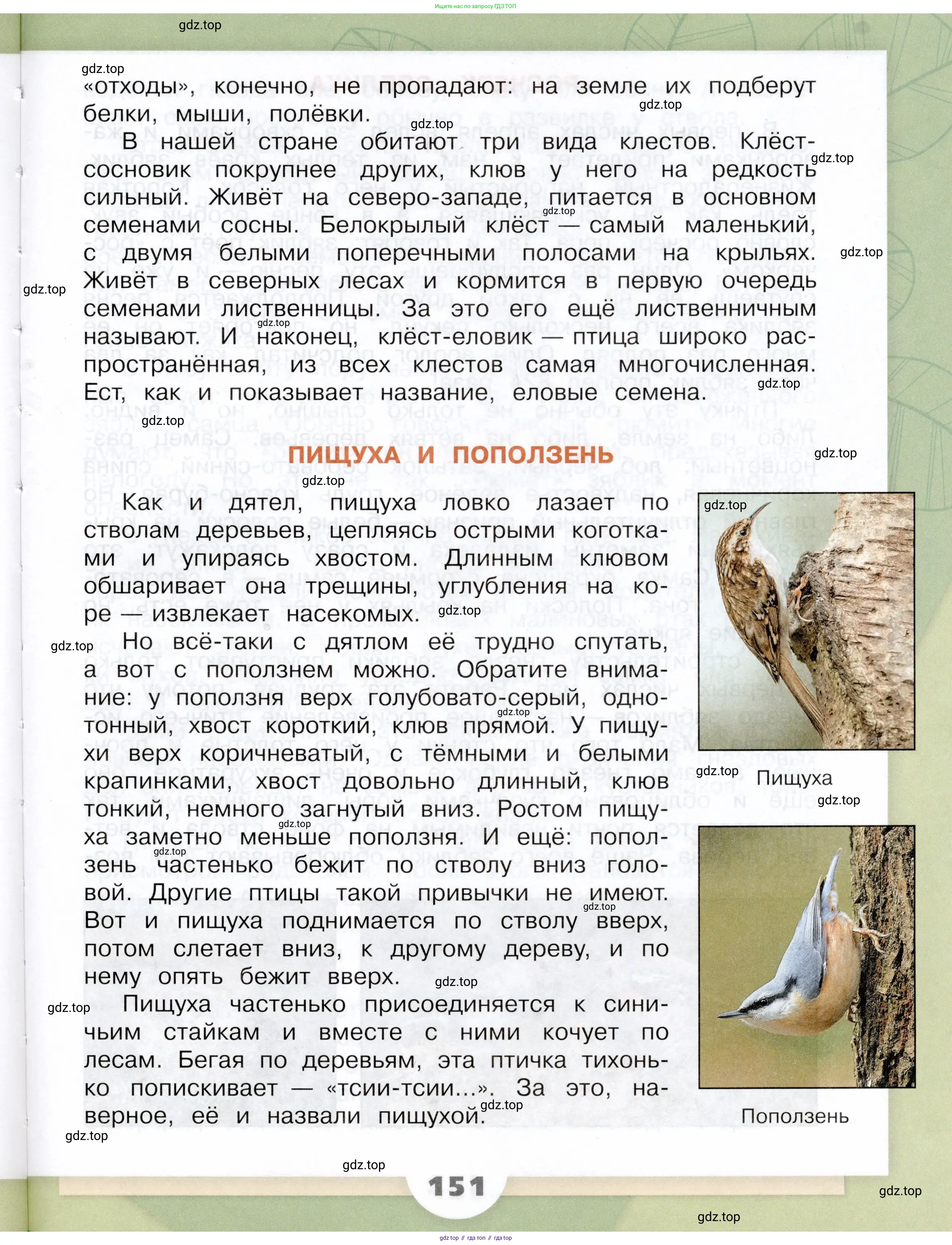 Окружающий мир, 3 класс Учебник, автор: Плешаков Андрей Анатольевич, издательство Просвещение, Москва, 2023, белого цвета, страница 151