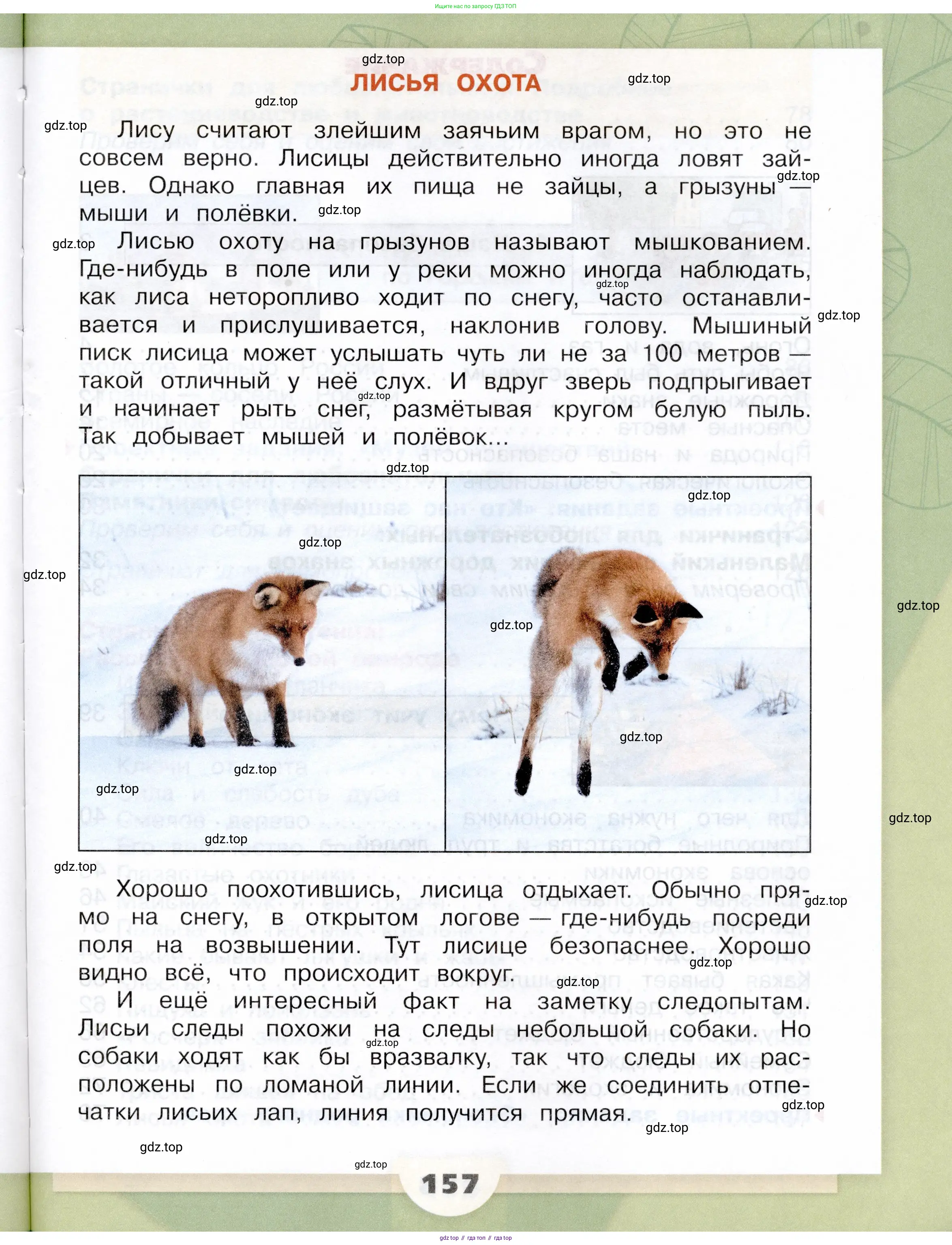 Окружающий мир, 3 класс Учебник, автор: Плешаков Андрей Анатольевич, издательство Просвещение, Москва, 2023, белого цвета, страница 157