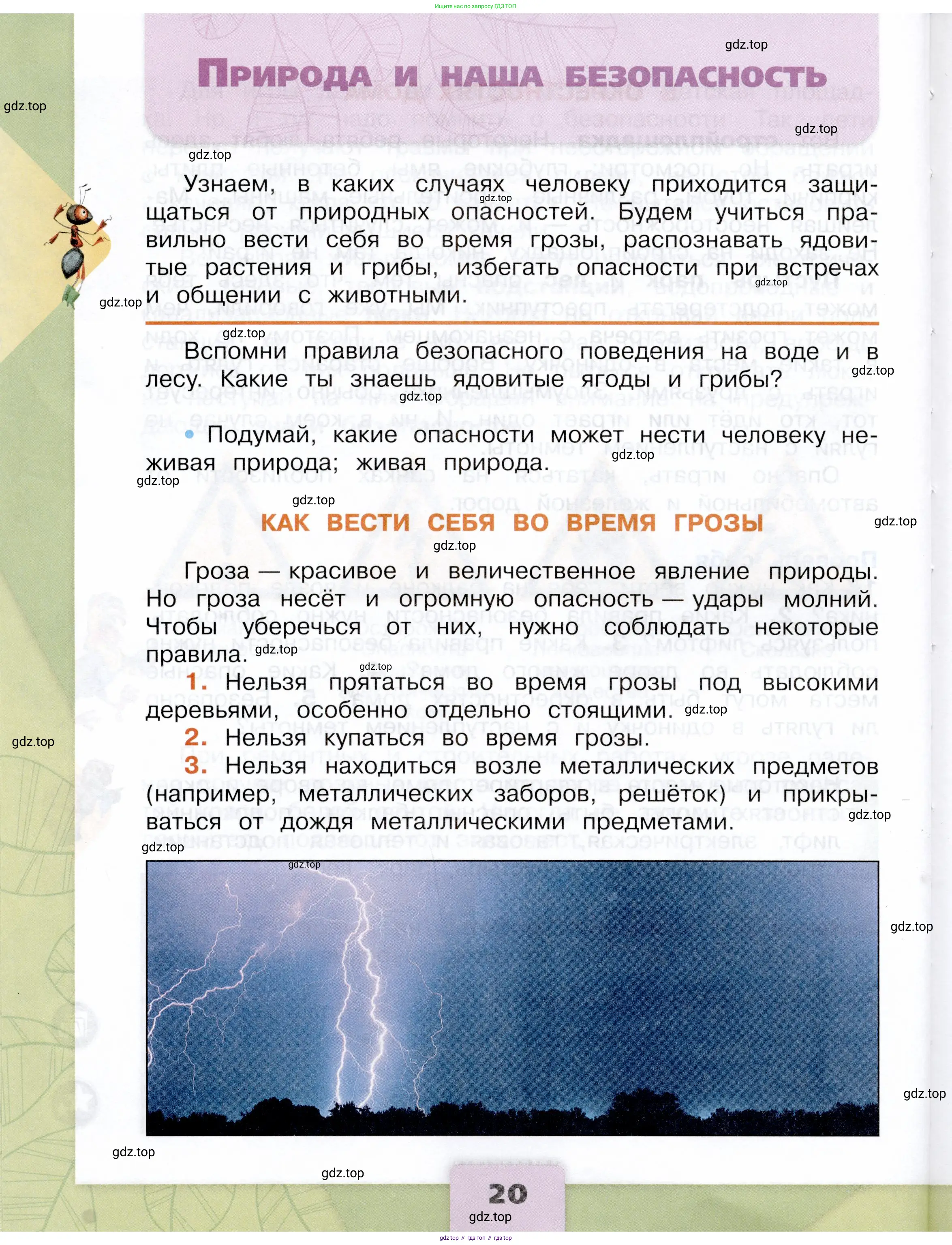 Окружающий мир, 3 класс Учебник, автор: Плешаков Андрей Анатольевич, издательство Просвещение, Москва, 2023, белого цвета, Часть 2, страница 20