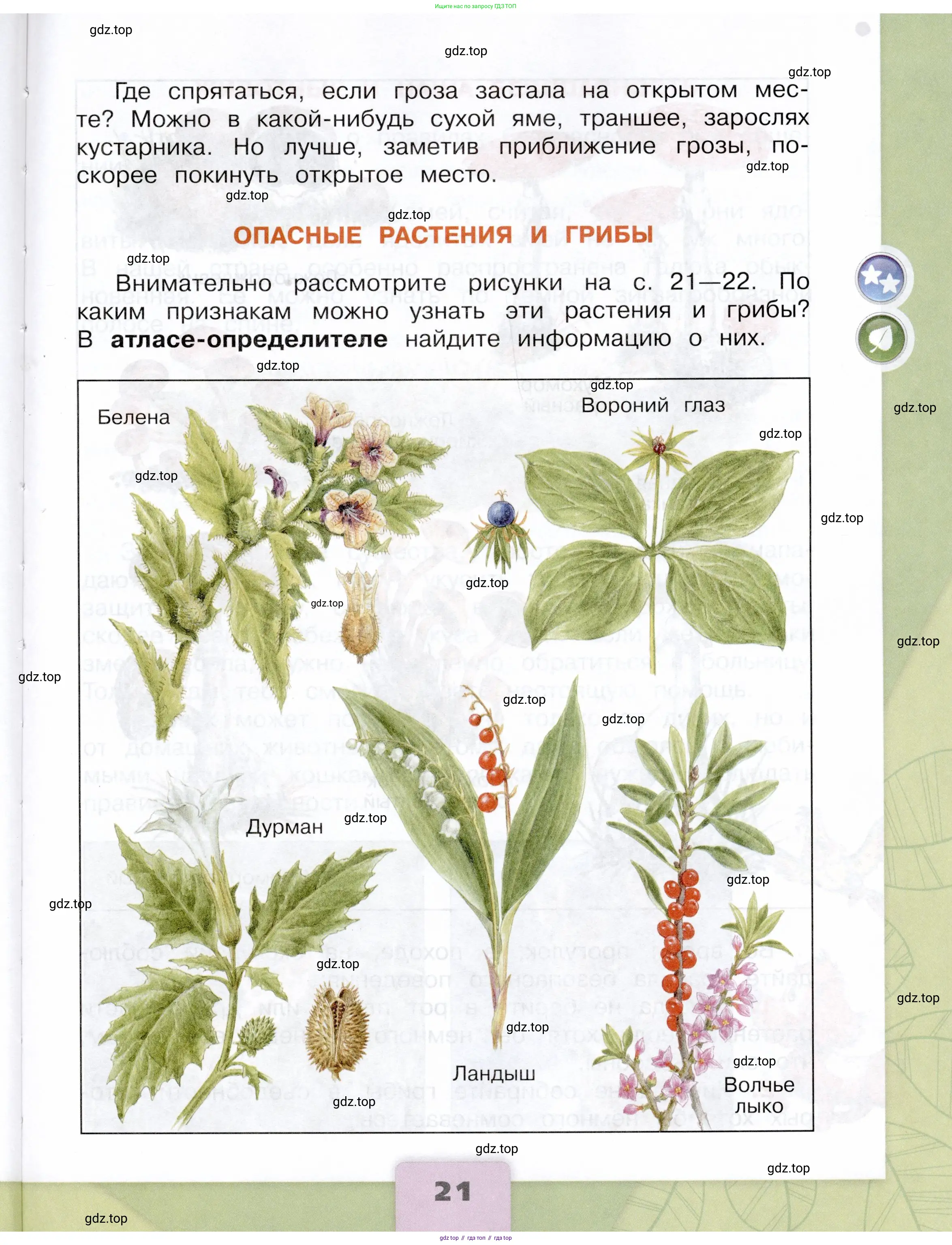 Окружающий мир, 3 класс Учебник, автор: Плешаков Андрей Анатольевич, издательство Просвещение, Москва, 2023, белого цвета, страница 21