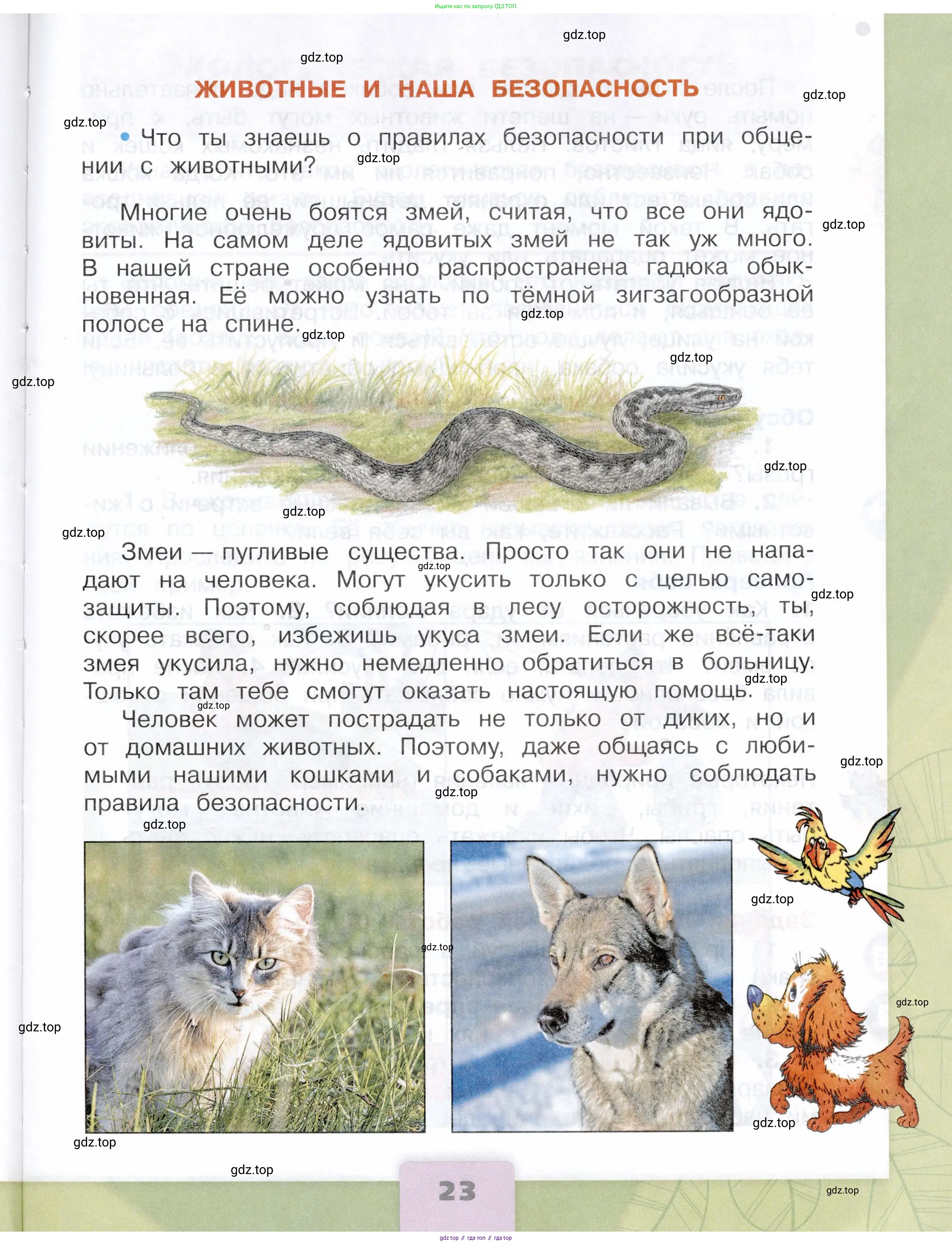 Окружающий мир, 3 класс Учебник, автор: Плешаков Андрей Анатольевич, издательство Просвещение, Москва, 2023, белого цвета, страница 23