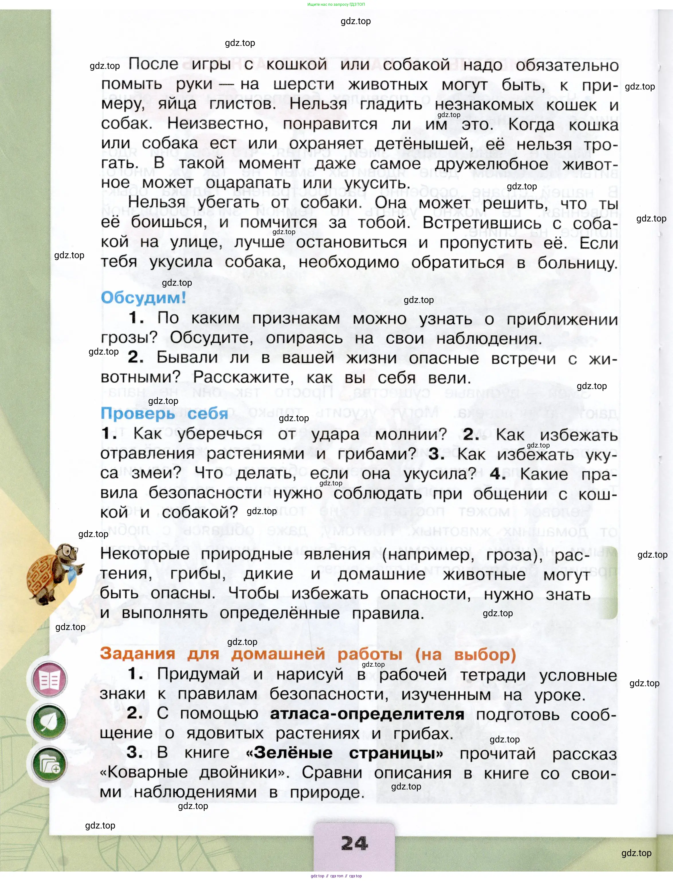 Окружающий мир, 3 класс Учебник, автор: Плешаков Андрей Анатольевич, издательство Просвещение, Москва, 2023, белого цвета, Часть 1, страница 24