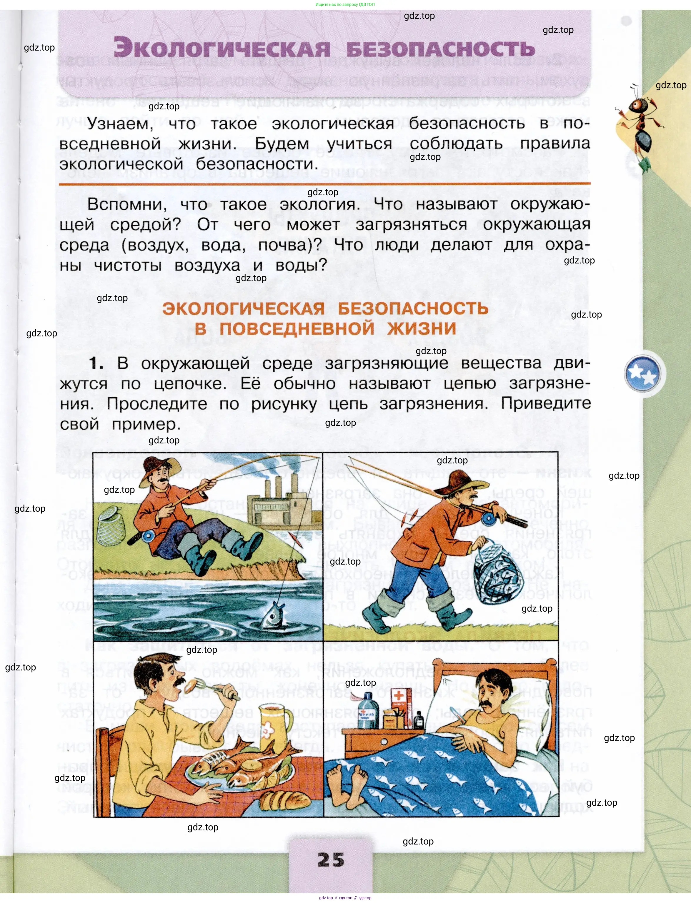 Окружающий мир, 3 класс Учебник, автор: Плешаков Андрей Анатольевич, издательство Просвещение, Москва, 2023, белого цвета, Часть 2, страница 25
