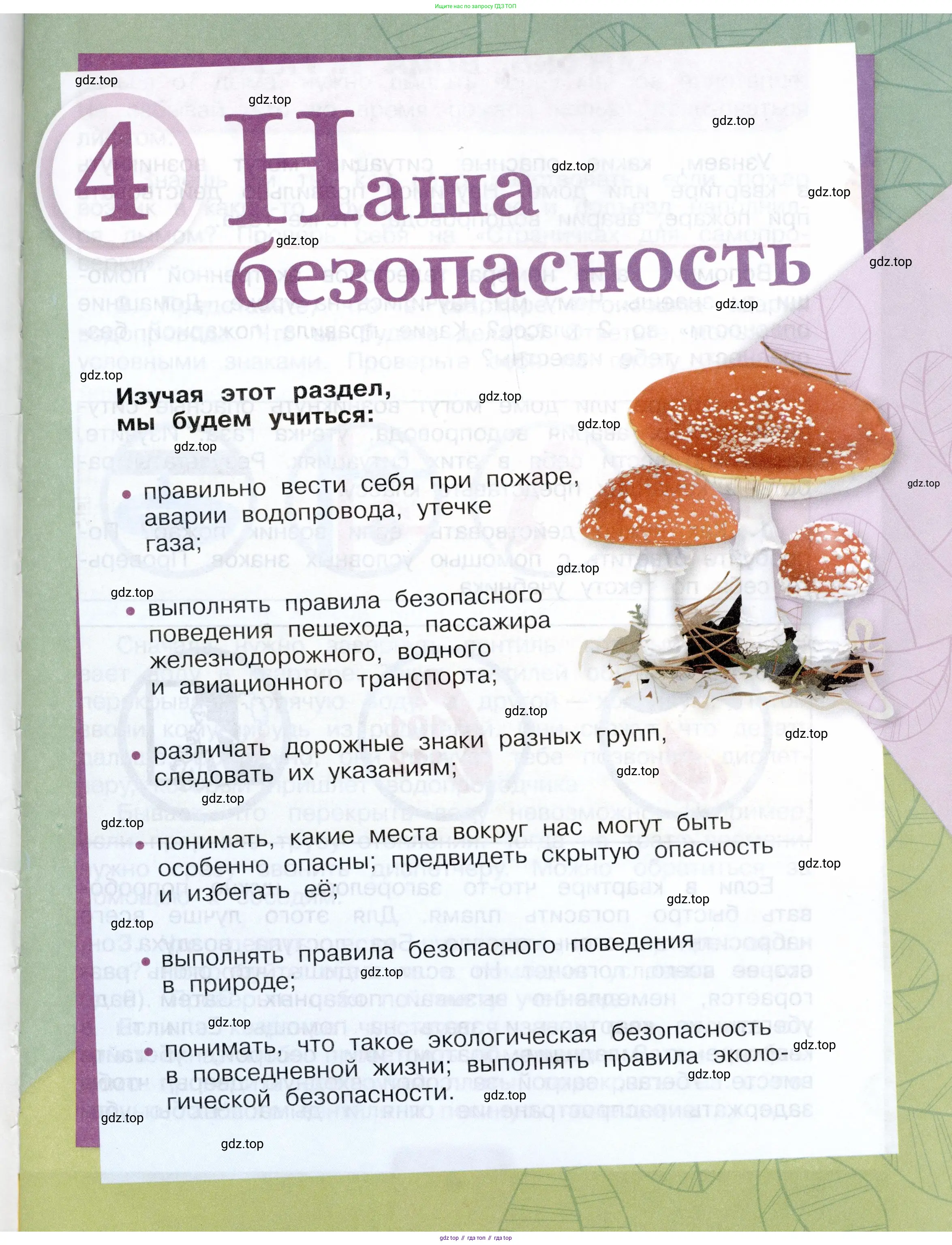 Окружающий мир, 3 класс Учебник, автор: Плешаков Андрей Анатольевич, издательство Просвещение, Москва, 2023, белого цвета, страница 3