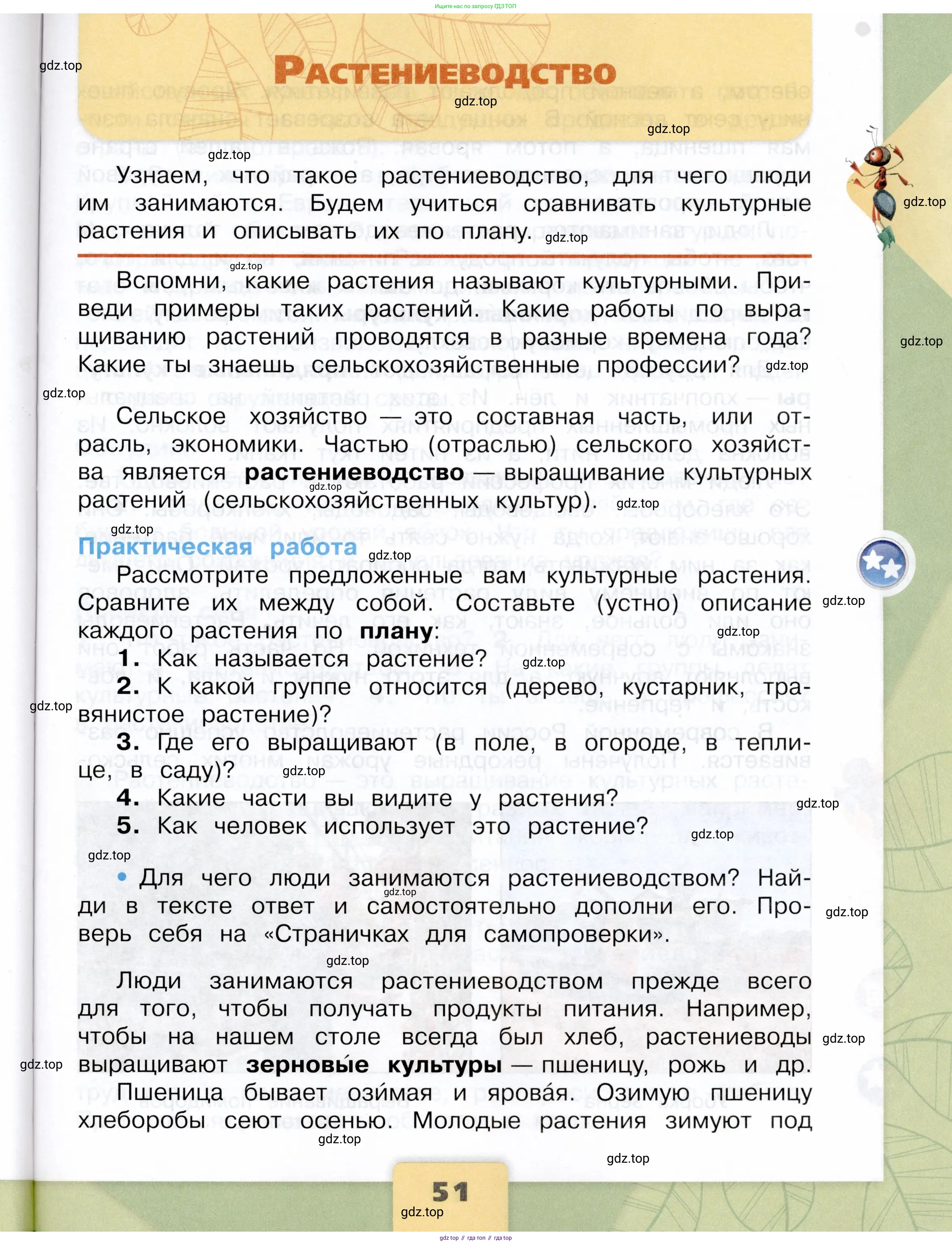 Окружающий мир, 3 класс Учебник, автор: Плешаков Андрей Анатольевич, издательство Просвещение, Москва, 2023, белого цвета, Часть 2, страница 51