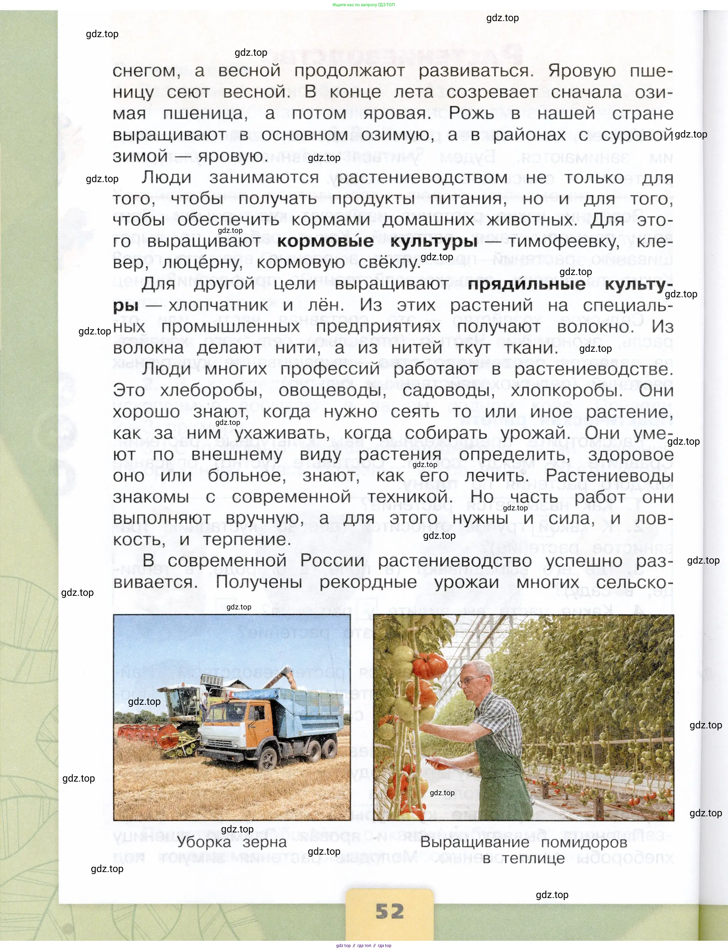 Окружающий мир, 3 класс Учебник, автор: Плешаков Андрей Анатольевич, издательство Просвещение, Москва, 2023, белого цвета, страница 52