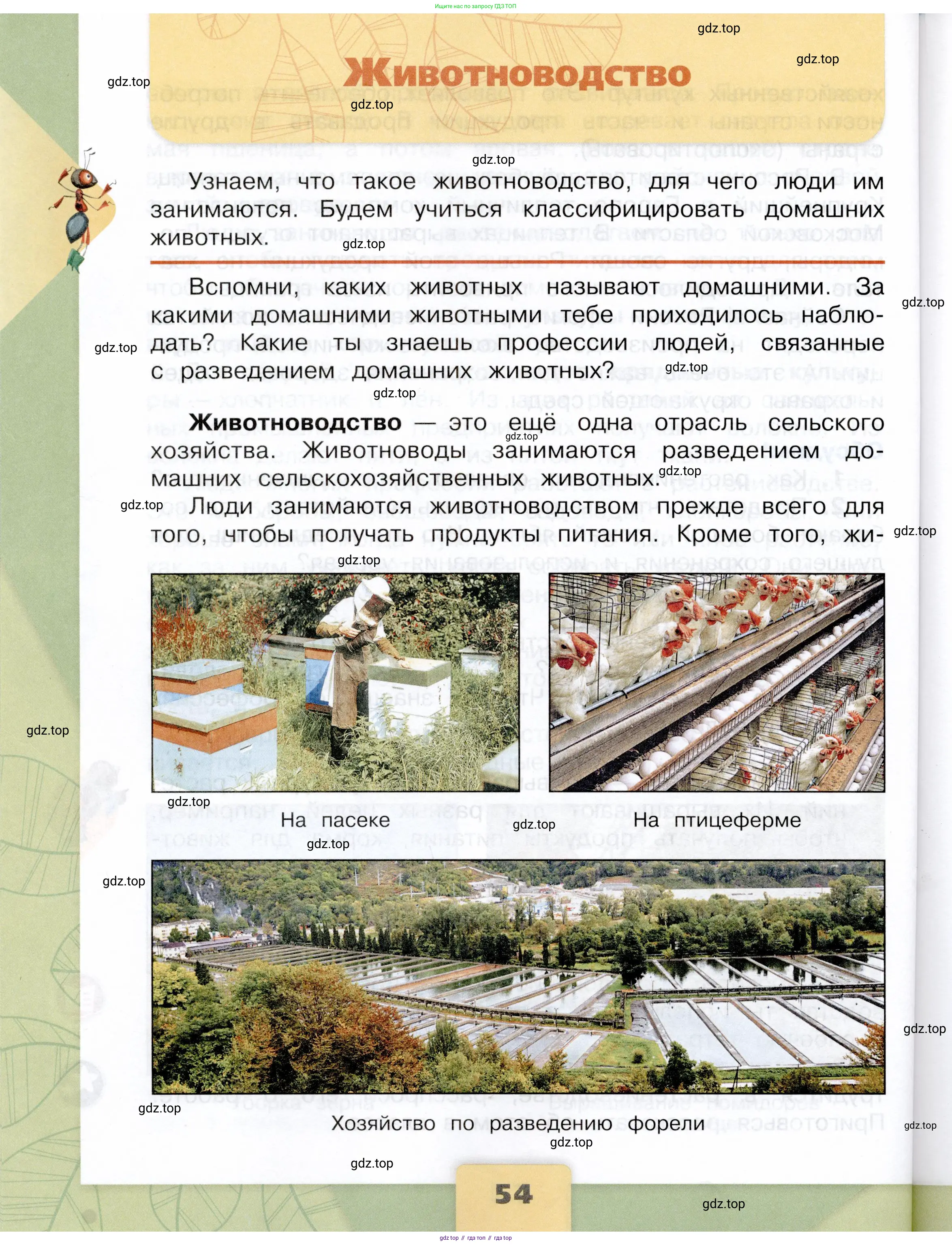 Окружающий мир, 3 класс Учебник, автор: Плешаков Андрей Анатольевич, издательство Просвещение, Москва, 2023, белого цвета, Часть 1, страница 54