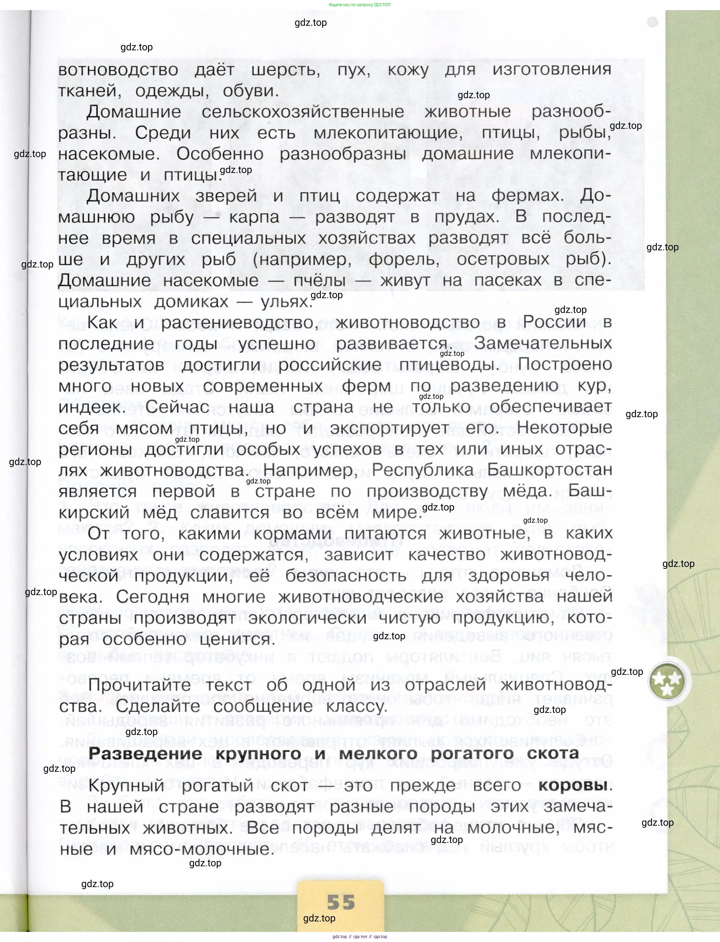 Окружающий мир, 3 класс Учебник, автор: Плешаков Андрей Анатольевич, издательство Просвещение, Москва, 2023, белого цвета, страница 55