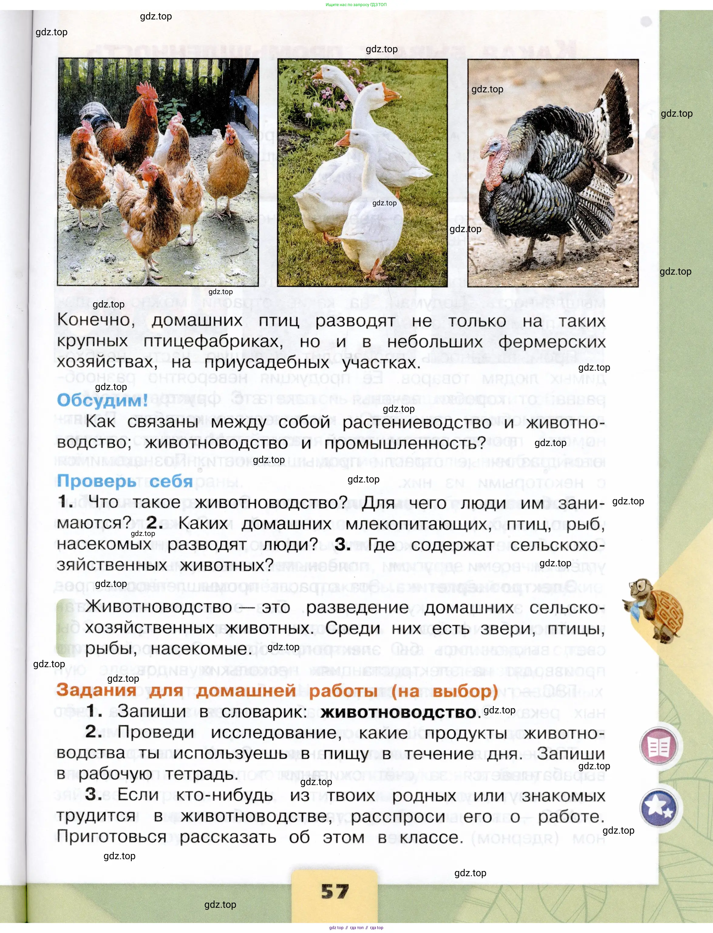 Окружающий мир, 3 класс Учебник, автор: Плешаков Андрей Анатольевич, издательство Просвещение, Москва, 2023, белого цвета, страница 57