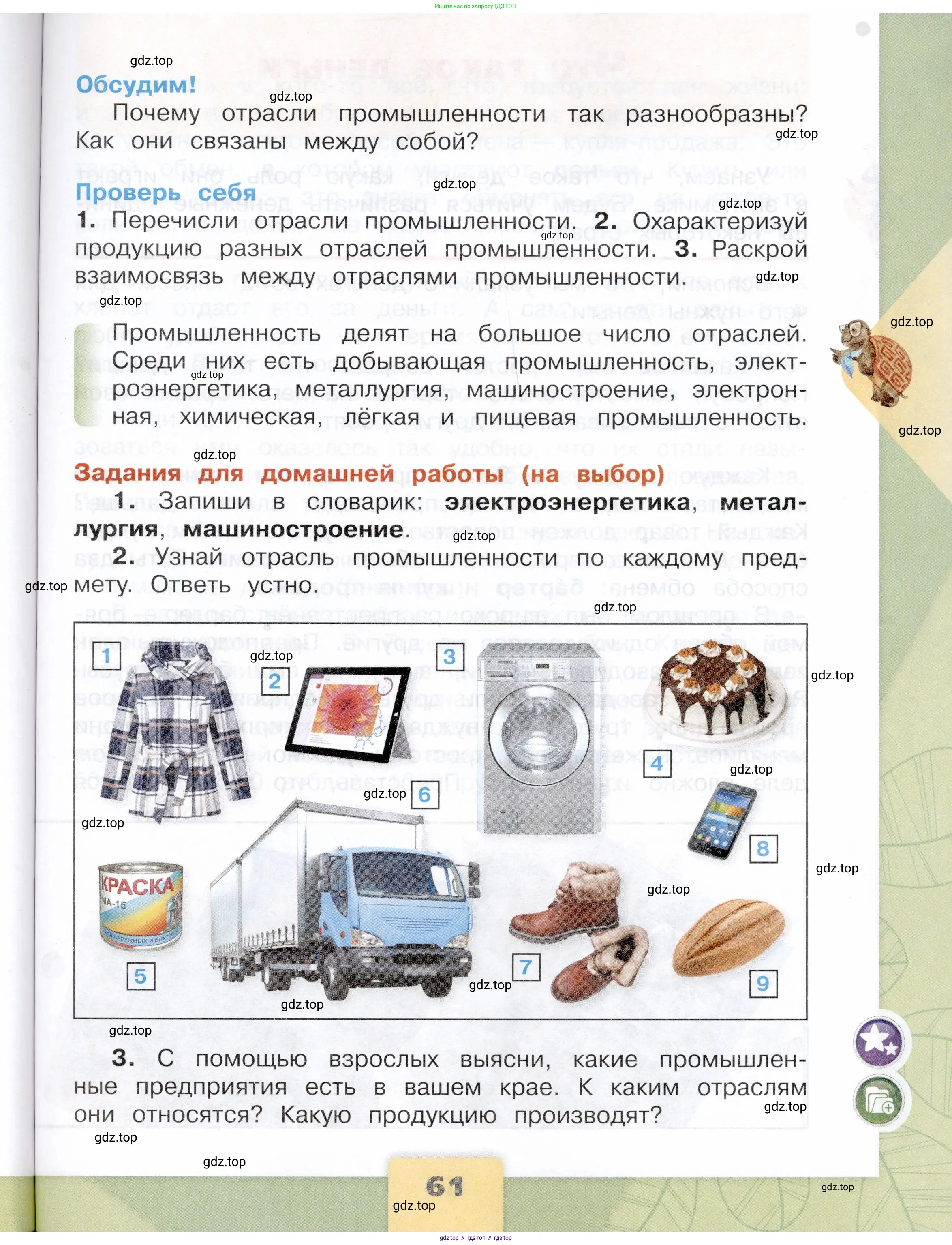 Окружающий мир, 3 класс Учебник, автор: Плешаков Андрей Анатольевич, издательство Просвещение, Москва, 2023, белого цвета, Часть 1, страница 61