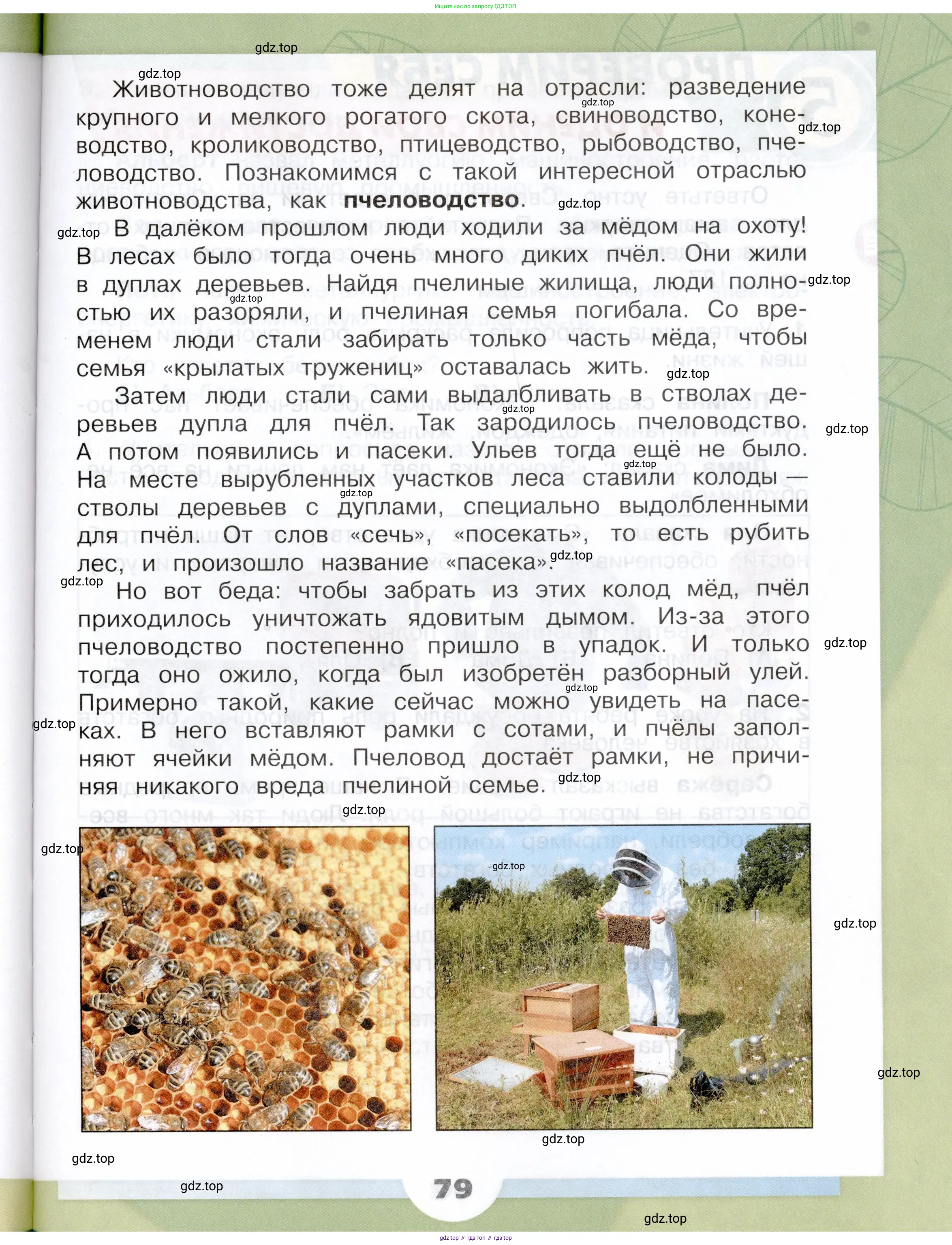 Окружающий мир, 3 класс Учебник, автор: Плешаков Андрей Анатольевич, издательство Просвещение, Москва, 2023, белого цвета, страница 79