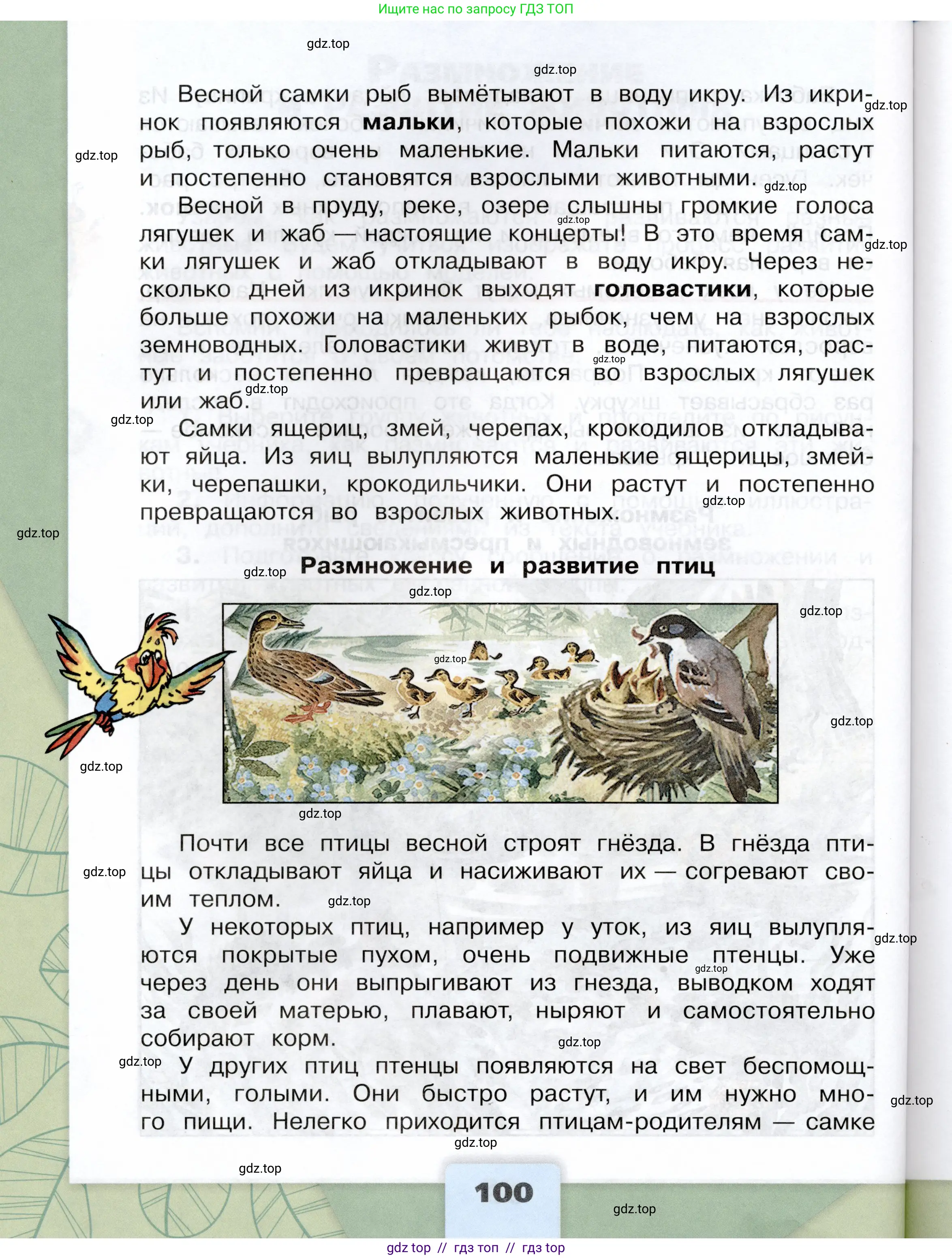 Окружающий мир, 3 класс Учебник, автор: Плешаков Андрей Анатольевич, издательство Просвещение, Москва, 2023, белого цвета, страница 100