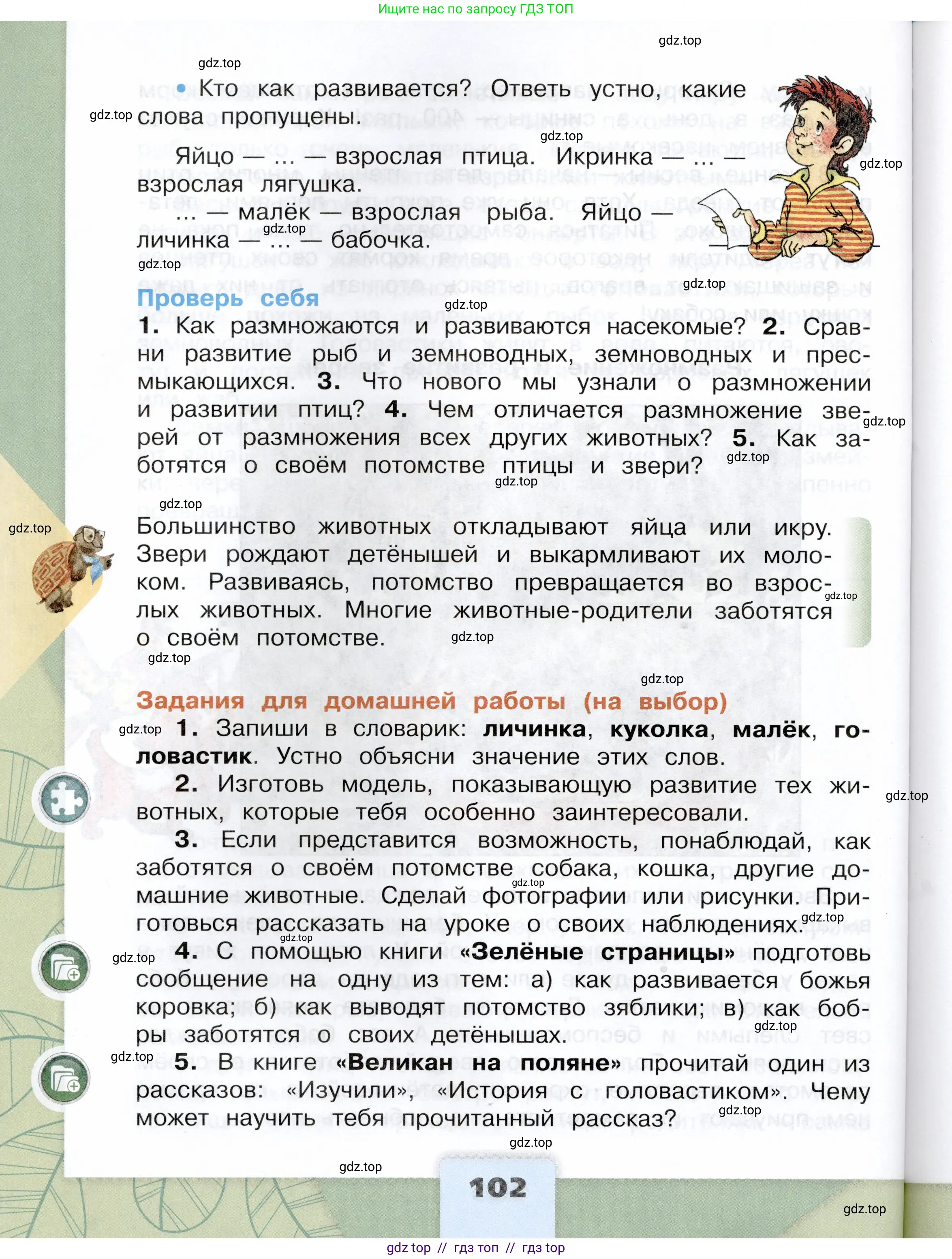 Окружающий мир, 3 класс Учебник, автор: Плешаков Андрей Анатольевич, издательство Просвещение, Москва, 2023, белого цвета, страница 102