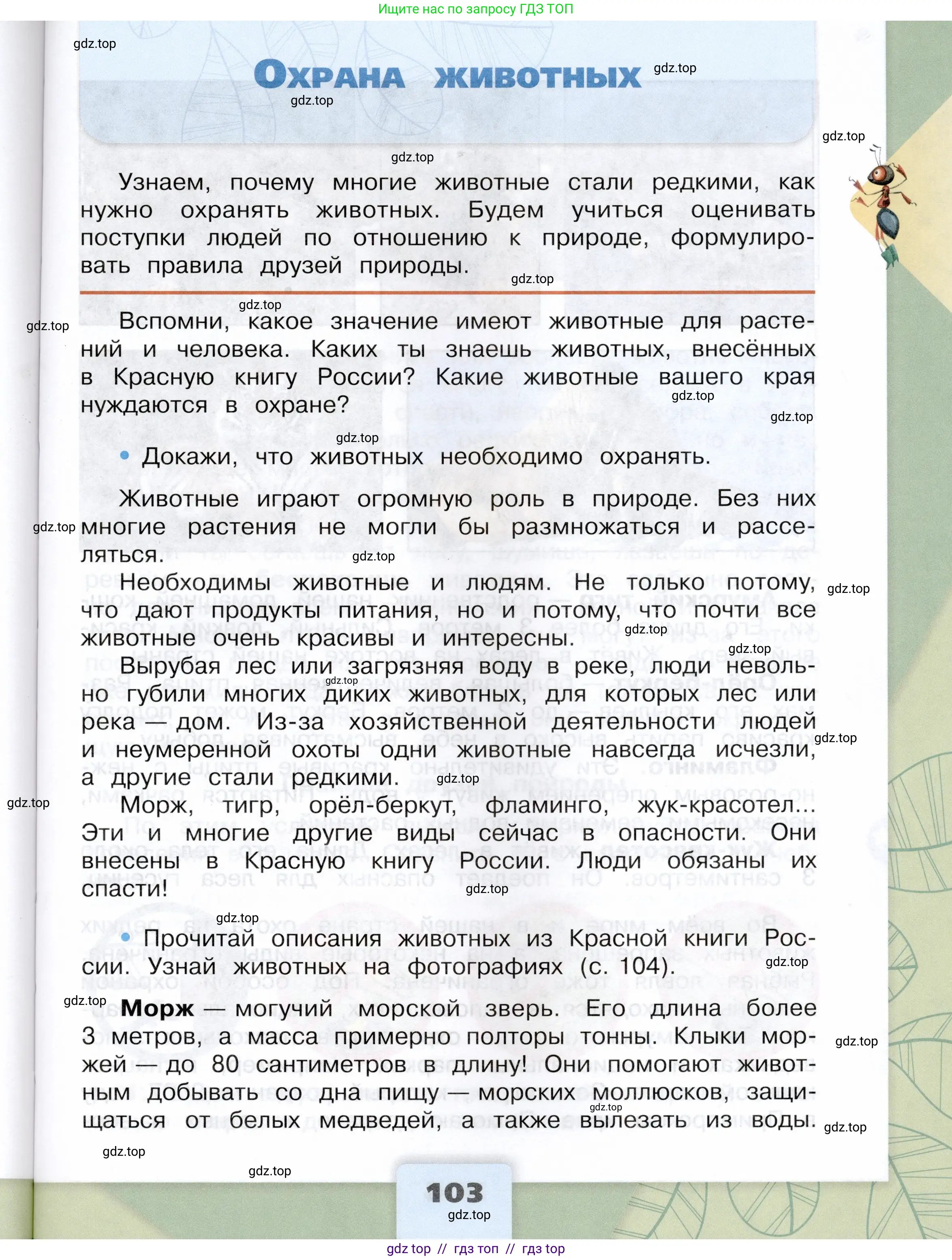 Окружающий мир, 3 класс Учебник, автор: Плешаков Андрей Анатольевич, издательство Просвещение, Москва, 2023, белого цвета, Часть 1, страница 103