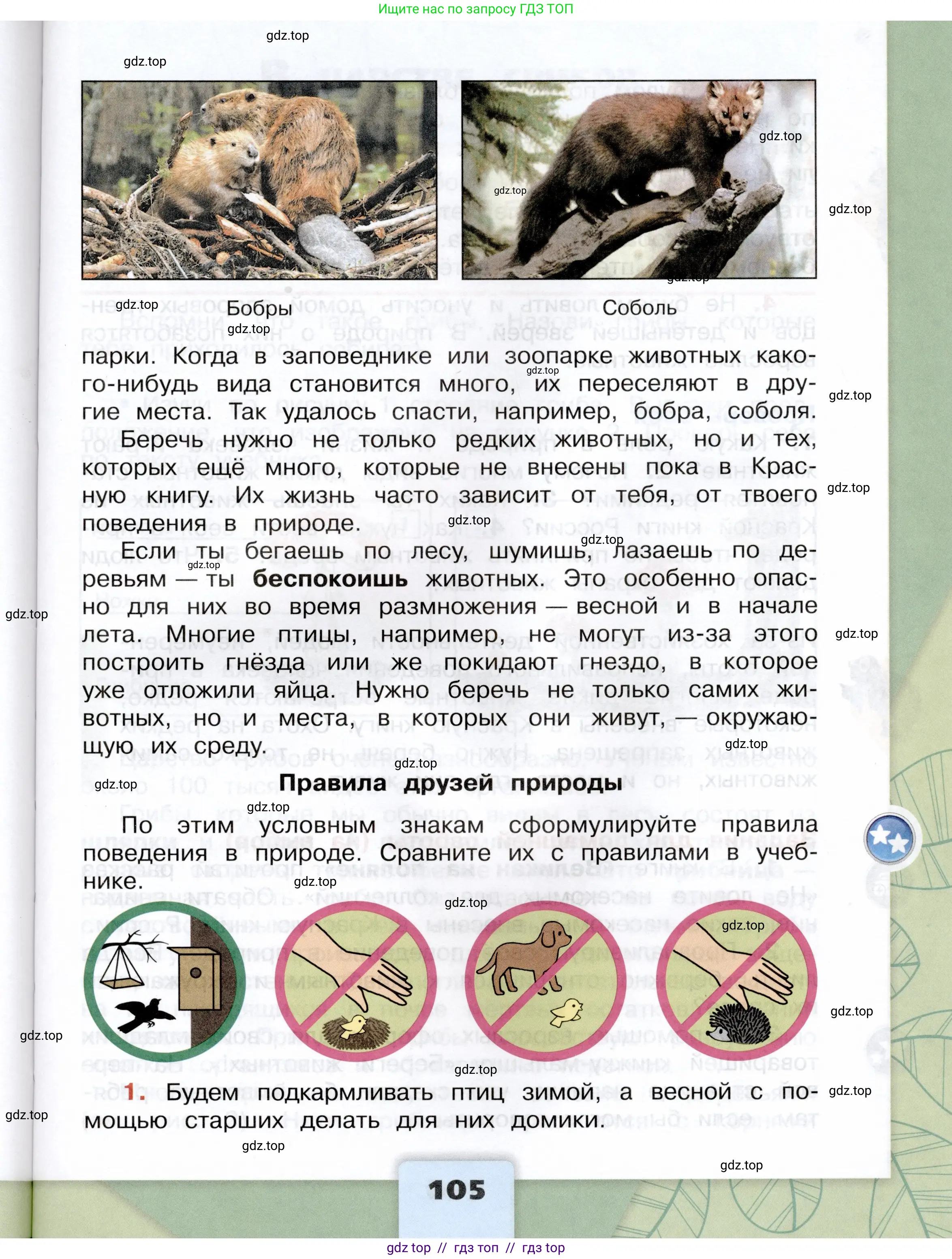 Окружающий мир, 3 класс Учебник, автор: Плешаков Андрей Анатольевич, издательство Просвещение, Москва, 2023, белого цвета, страница 105