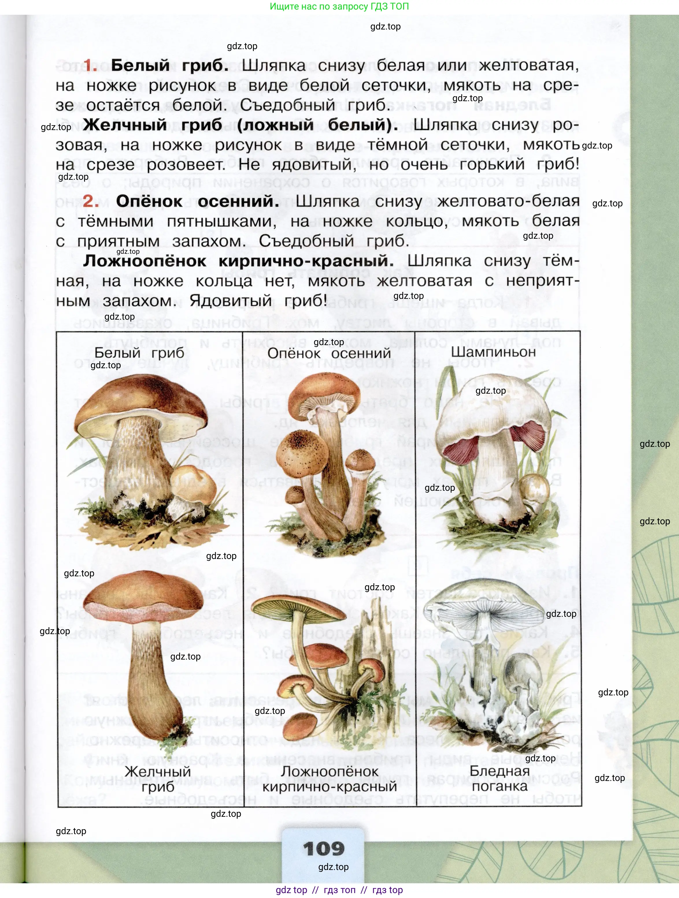 Окружающий мир, 3 класс Учебник, автор: Плешаков Андрей Анатольевич, издательство Просвещение, Москва, 2023, белого цвета, страница 109