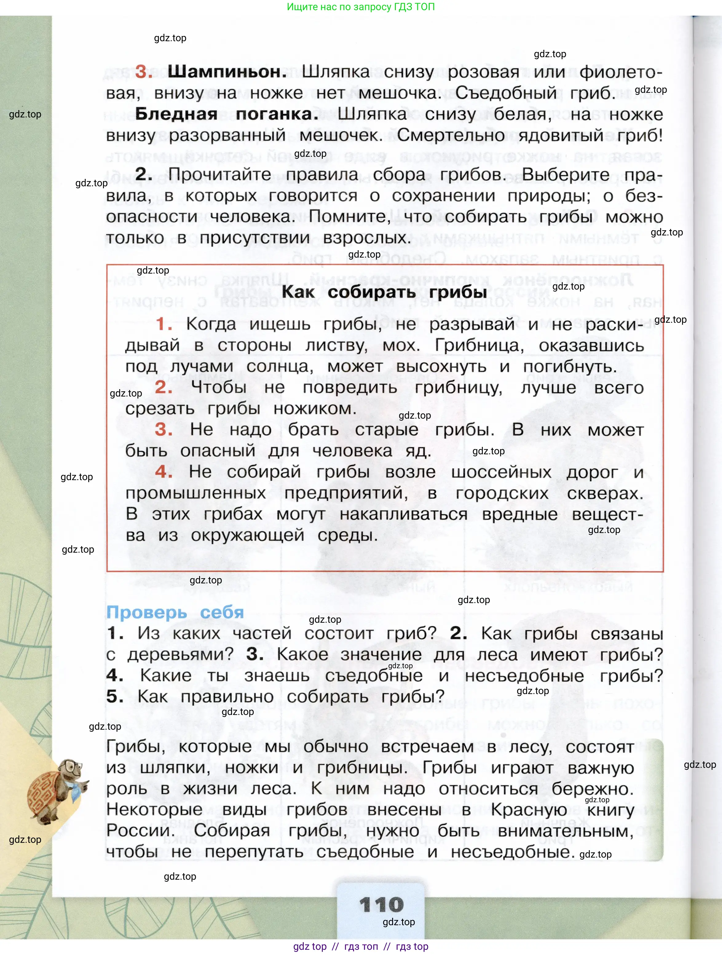 Окружающий мир, 3 класс Учебник, автор: Плешаков Андрей Анатольевич, издательство Просвещение, Москва, 2023, белого цвета, страница 110