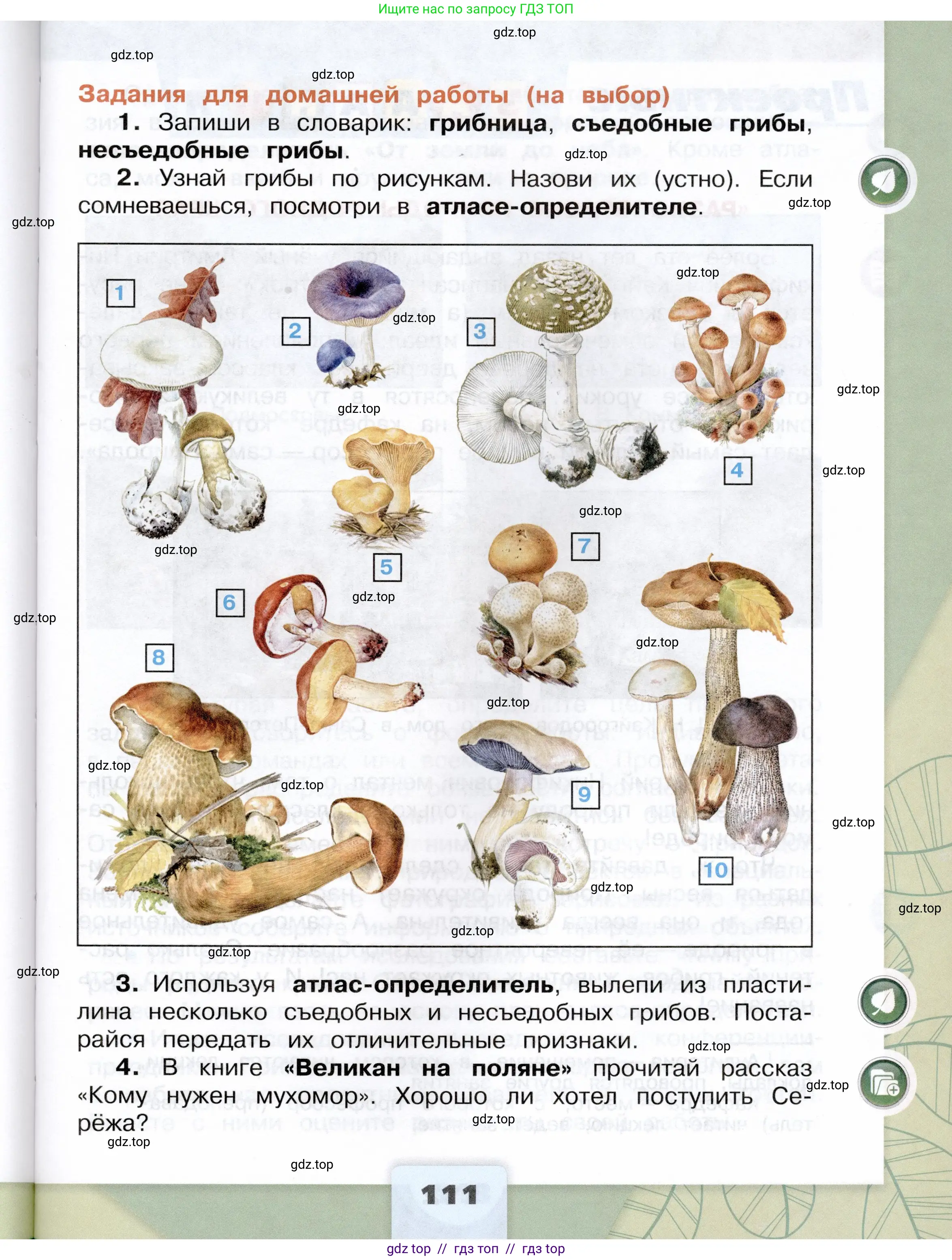 Окружающий мир, 3 класс Учебник, автор: Плешаков Андрей Анатольевич, издательство Просвещение, Москва, 2023, белого цвета, страница 111