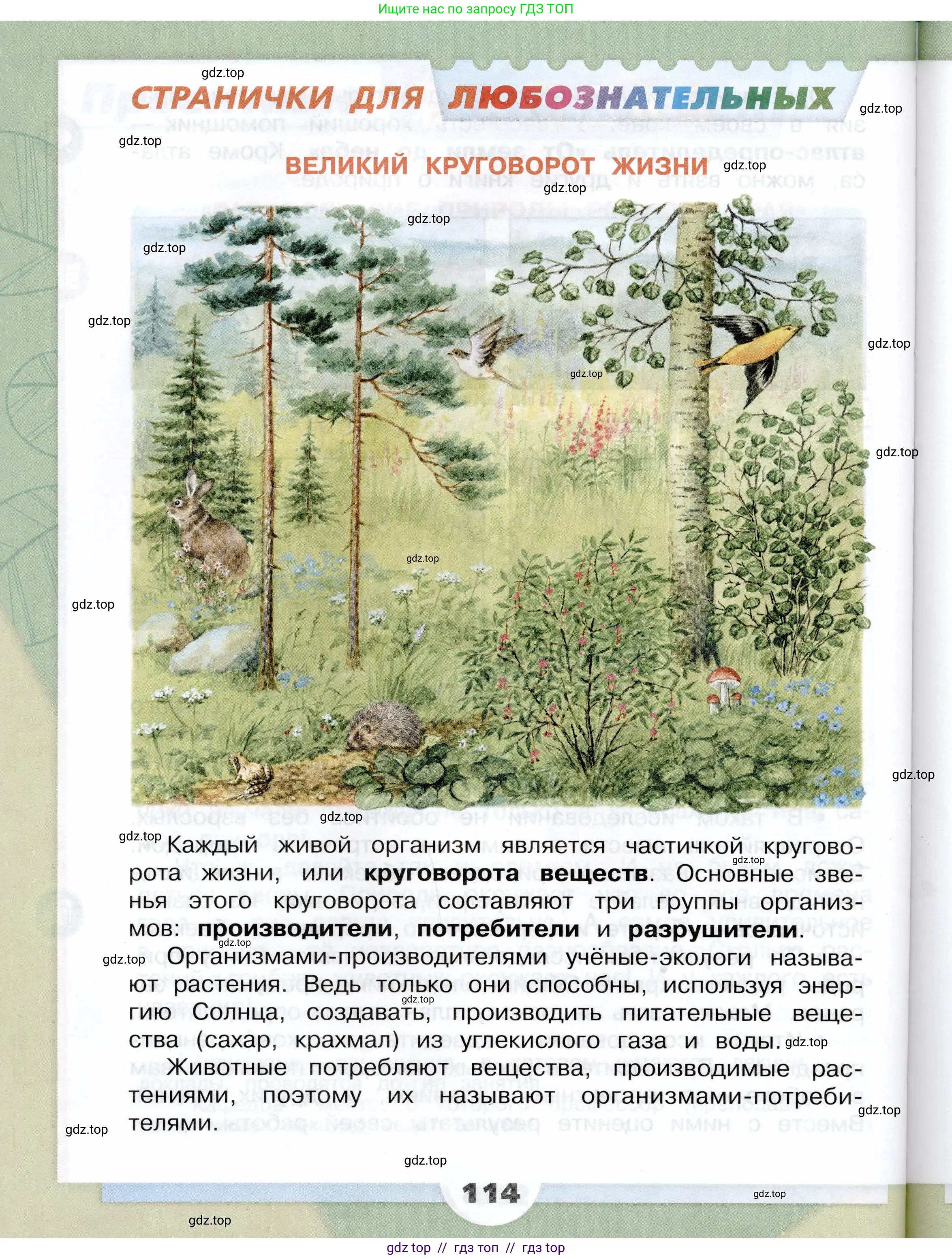 Окружающий мир, 3 класс Учебник, автор: Плешаков Андрей Анатольевич, издательство Просвещение, Москва, 2023, белого цвета, страница 114