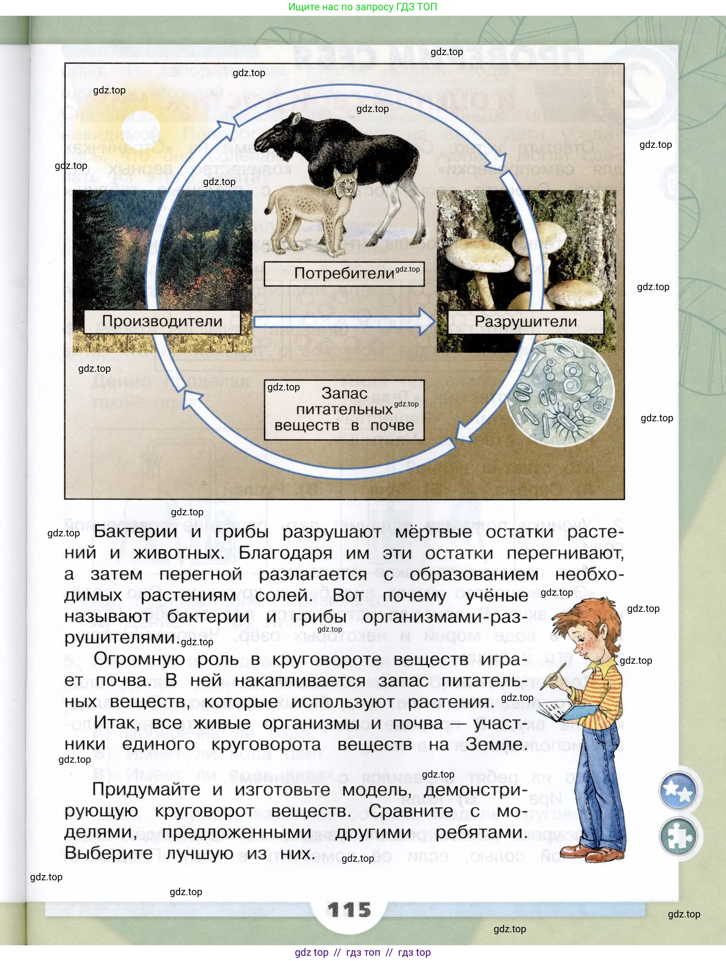 Окружающий мир, 3 класс Учебник, автор: Плешаков Андрей Анатольевич, издательство Просвещение, Москва, 2023, белого цвета, страница 115