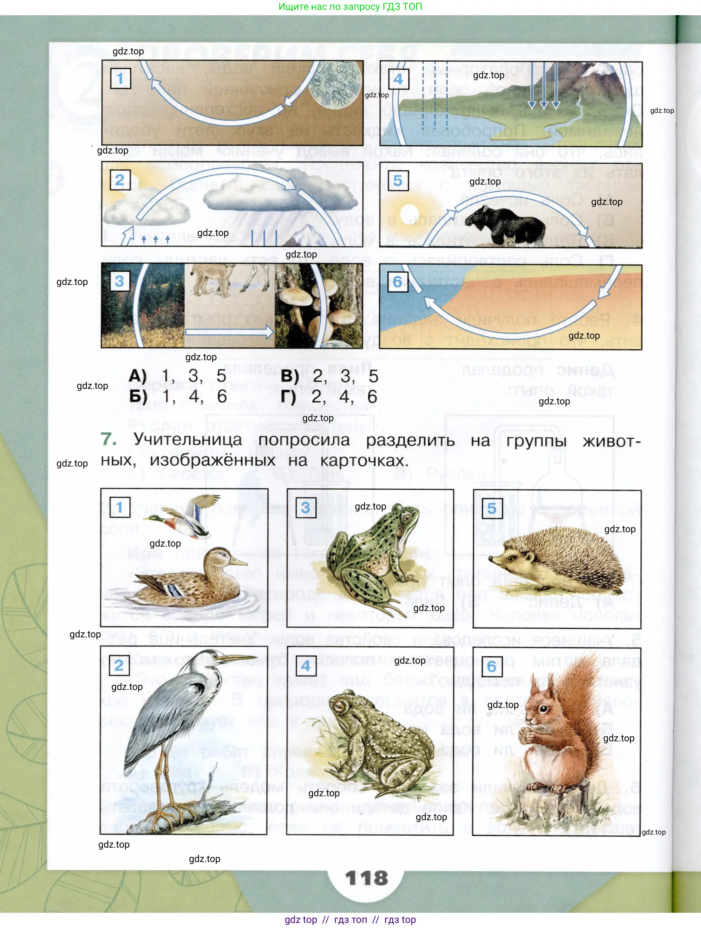 Окружающий мир, 3 класс Учебник, автор: Плешаков Андрей Анатольевич, издательство Просвещение, Москва, 2023, белого цвета, страница 118