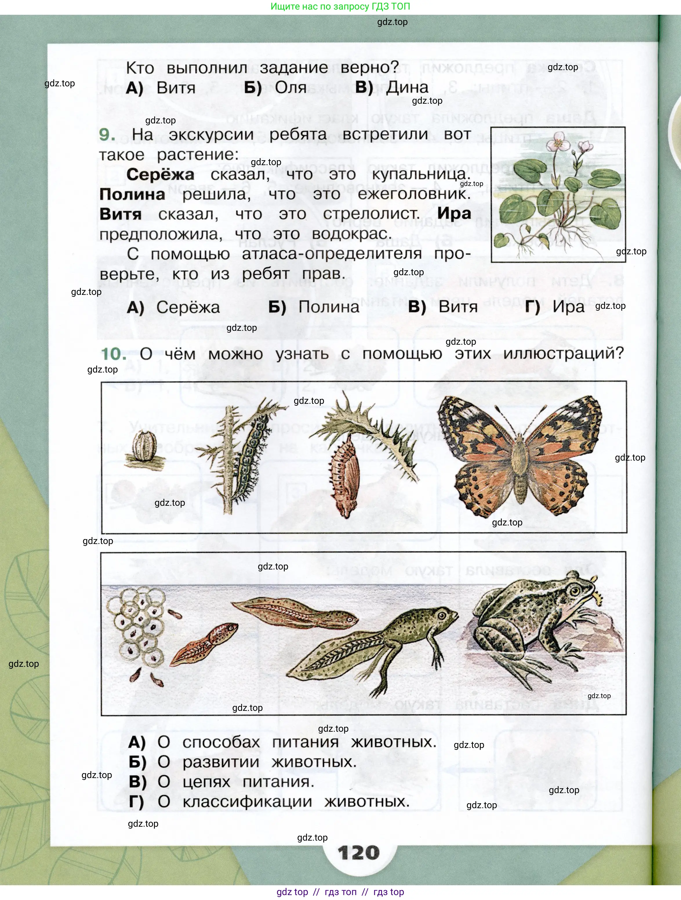 Окружающий мир, 3 класс Учебник, автор: Плешаков Андрей Анатольевич, издательство Просвещение, Москва, 2023, белого цвета, страница 120
