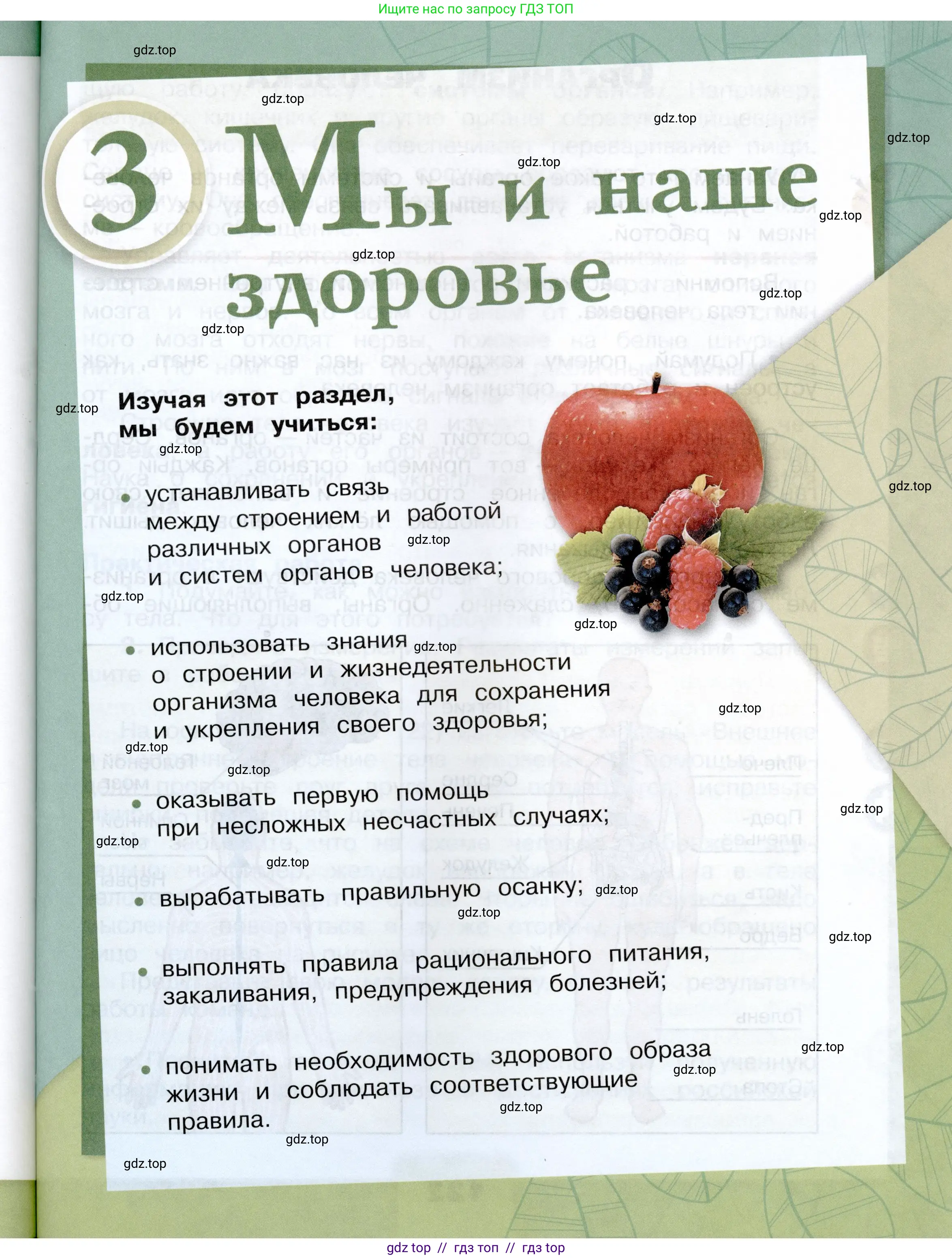 Окружающий мир, 3 класс Учебник, автор: Плешаков Андрей Анатольевич, издательство Просвещение, Москва, 2023, белого цвета, страница 121
