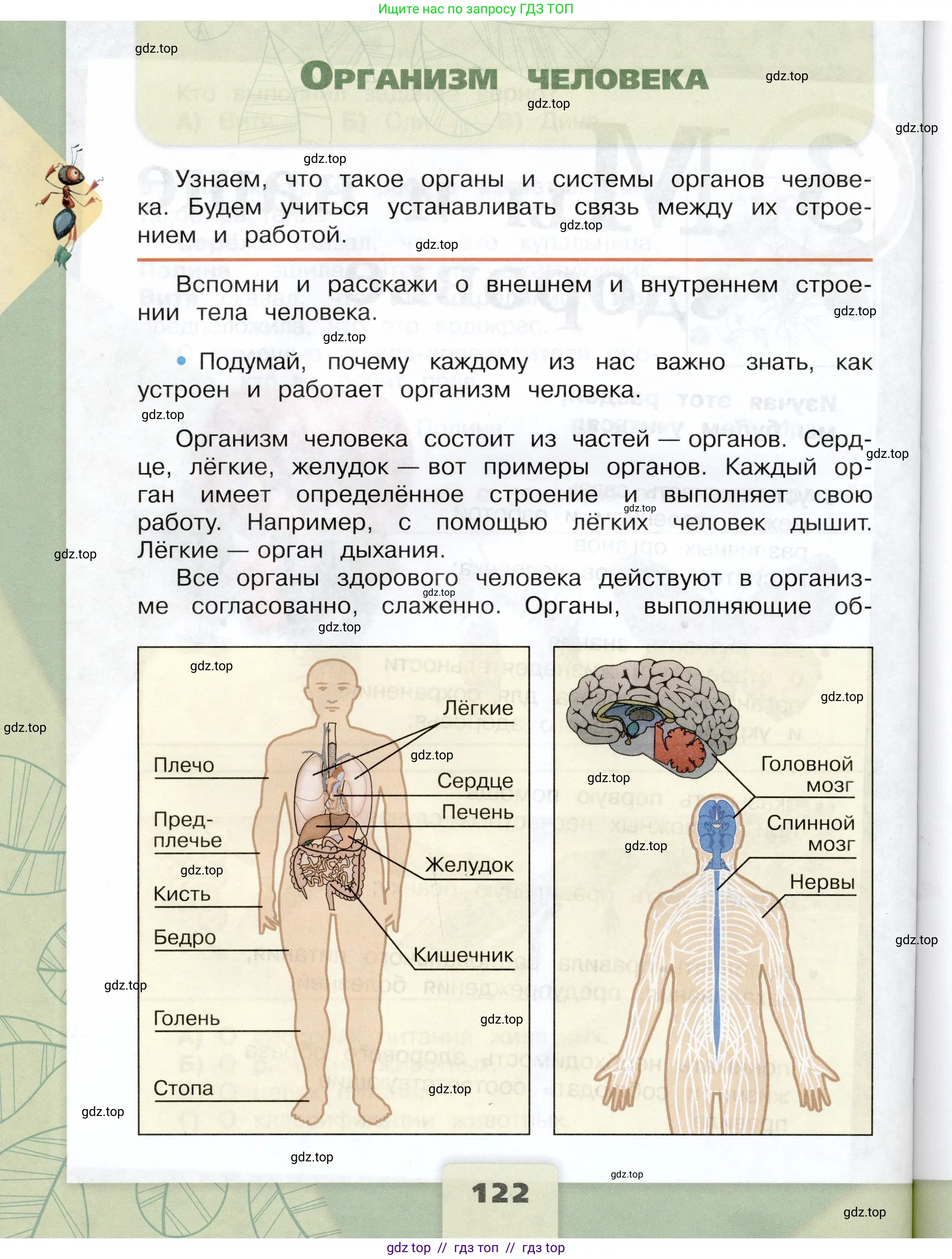 Окружающий мир, 3 класс Учебник, автор: Плешаков Андрей Анатольевич, издательство Просвещение, Москва, 2023, белого цвета, Часть 1, страница 122