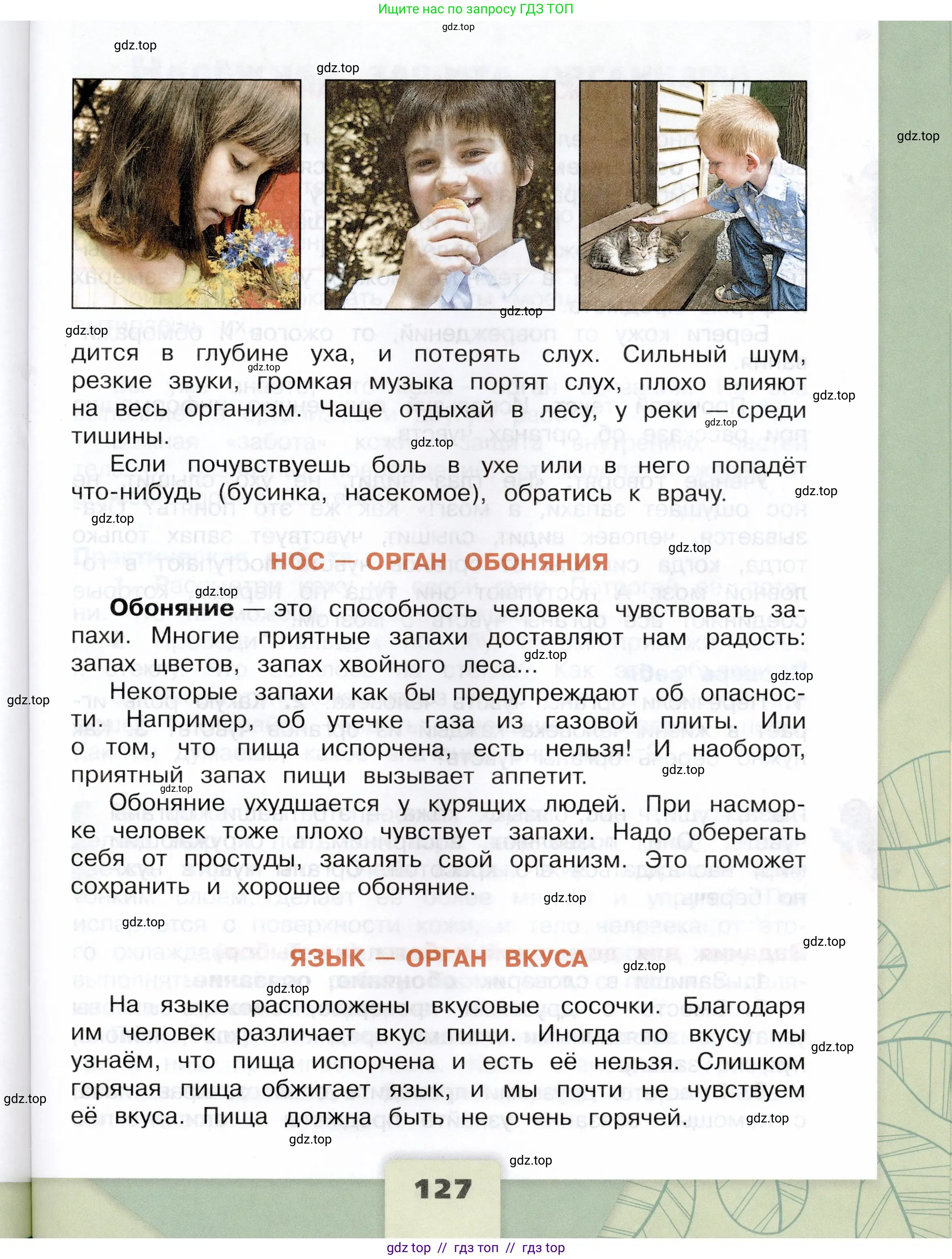 Окружающий мир, 3 класс Учебник, автор: Плешаков Андрей Анатольевич, издательство Просвещение, Москва, 2023, белого цвета, страница 127