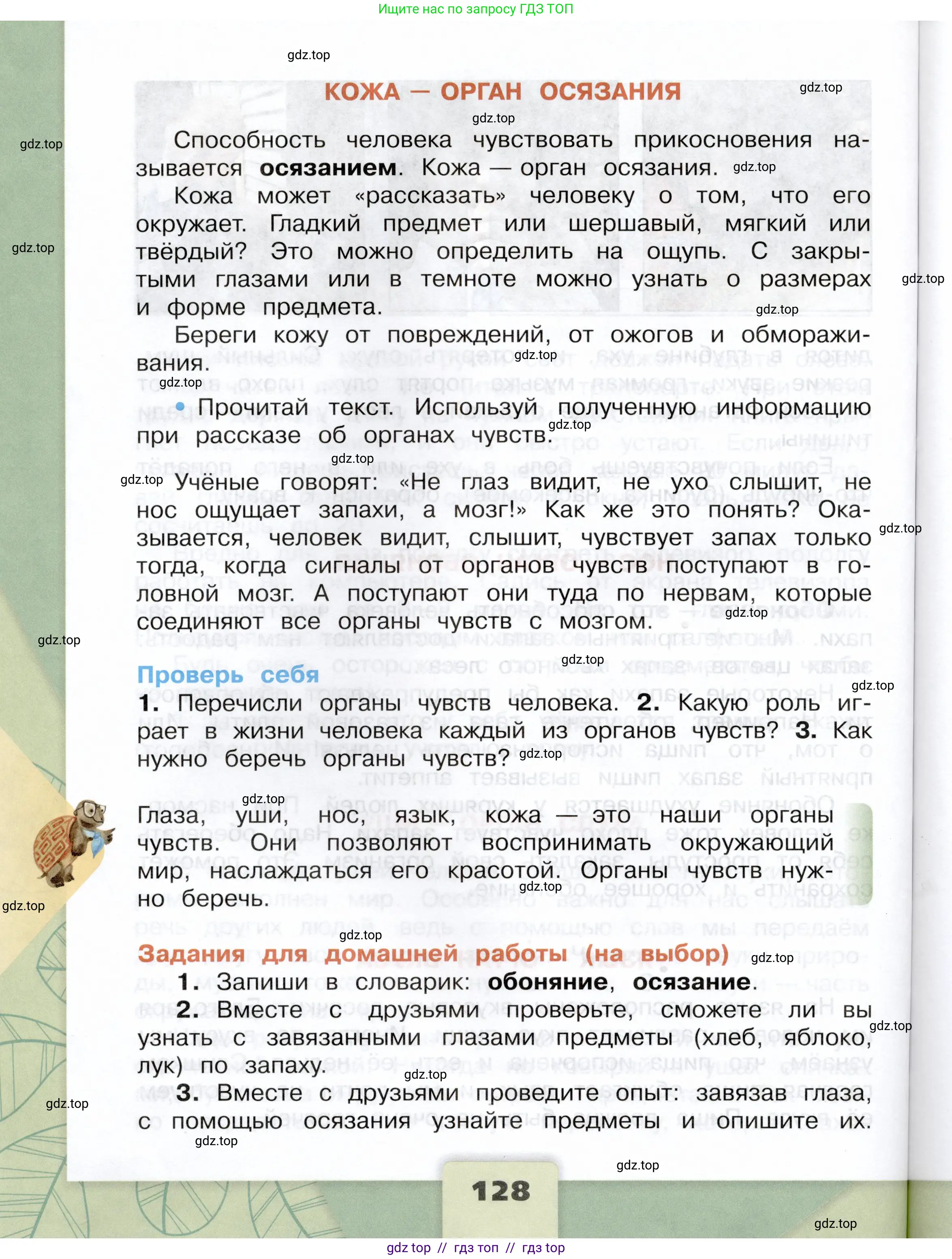 Окружающий мир, 3 класс Учебник, автор: Плешаков Андрей Анатольевич, издательство Просвещение, Москва, 2023, белого цвета, страница 128