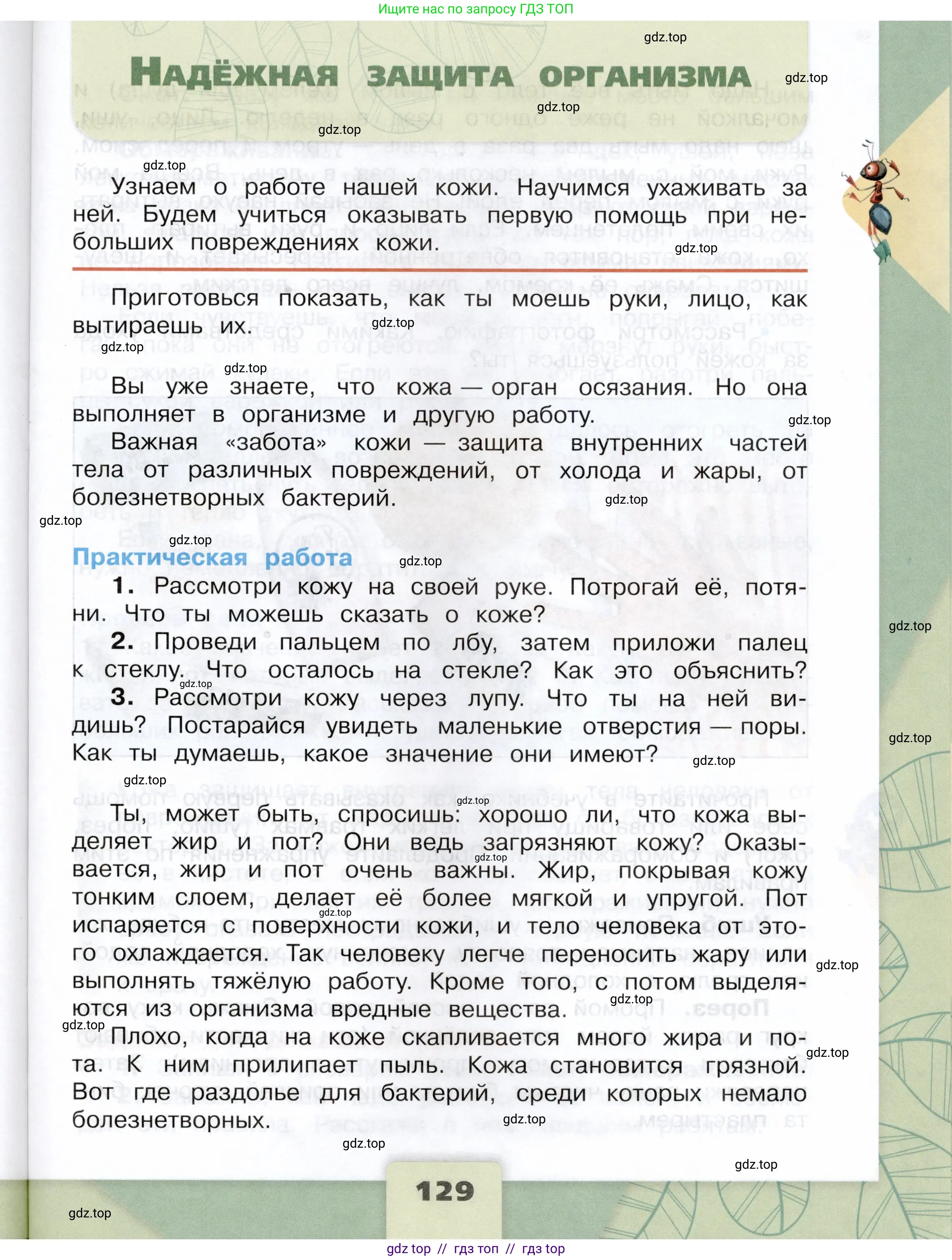 Окружающий мир, 3 класс Учебник, автор: Плешаков Андрей Анатольевич, издательство Просвещение, Москва, 2023, белого цвета, Часть 1, страница 129