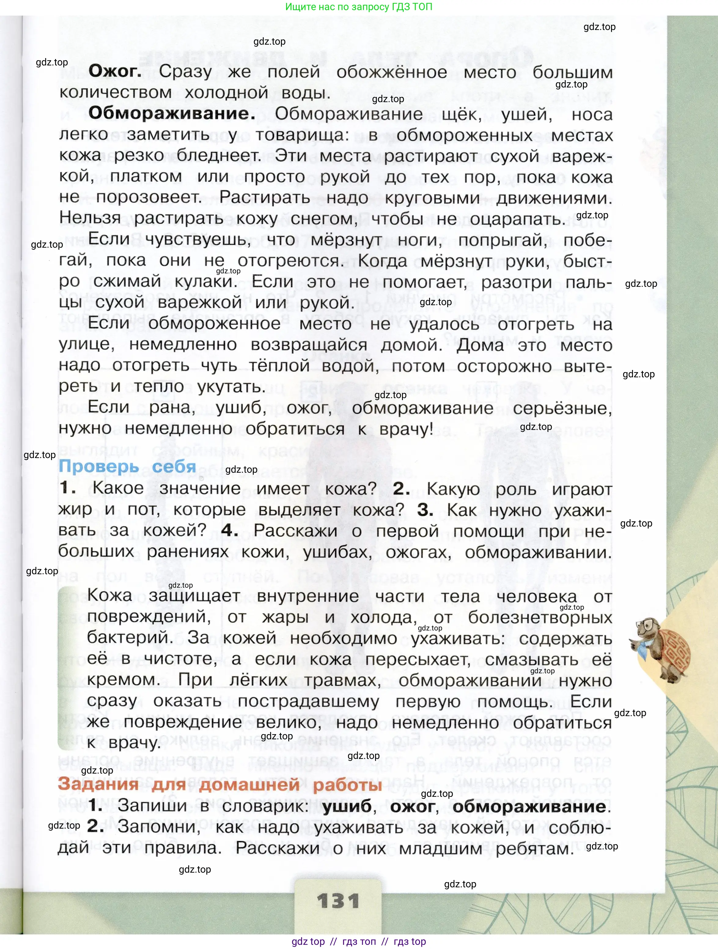 Окружающий мир, 3 класс Учебник, автор: Плешаков Андрей Анатольевич, издательство Просвещение, Москва, 2023, белого цвета, страница 131