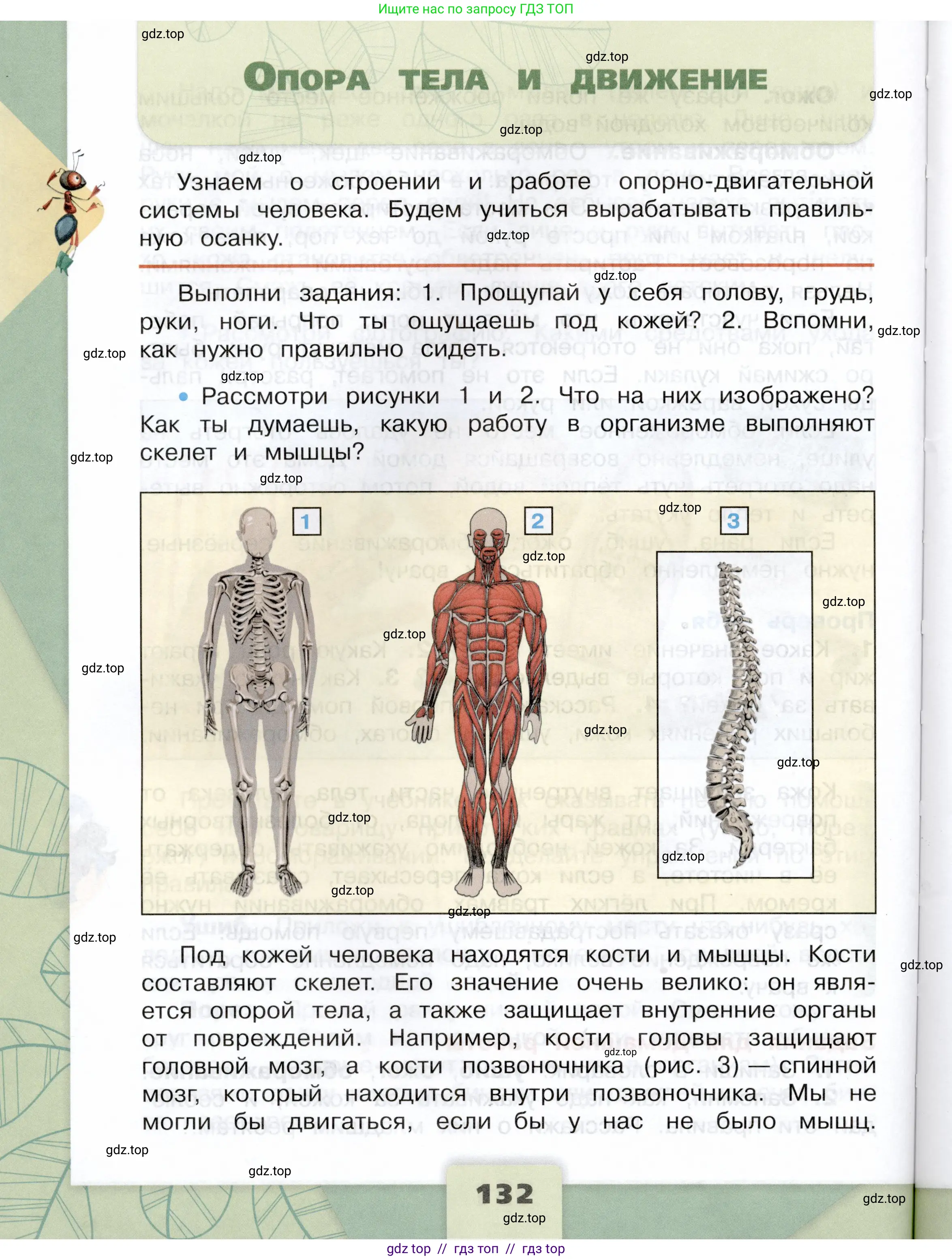 Окружающий мир, 3 класс Учебник, автор: Плешаков Андрей Анатольевич, издательство Просвещение, Москва, 2023, белого цвета, Часть 1, страница 132