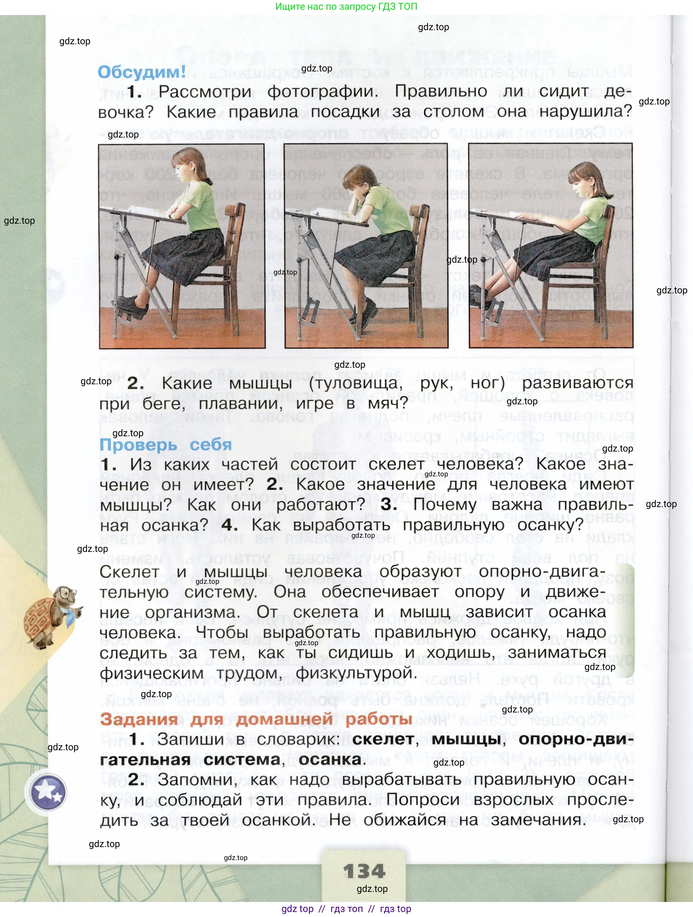 Окружающий мир, 3 класс Учебник, автор: Плешаков Андрей Анатольевич, издательство Просвещение, Москва, 2023, белого цвета, страница 134