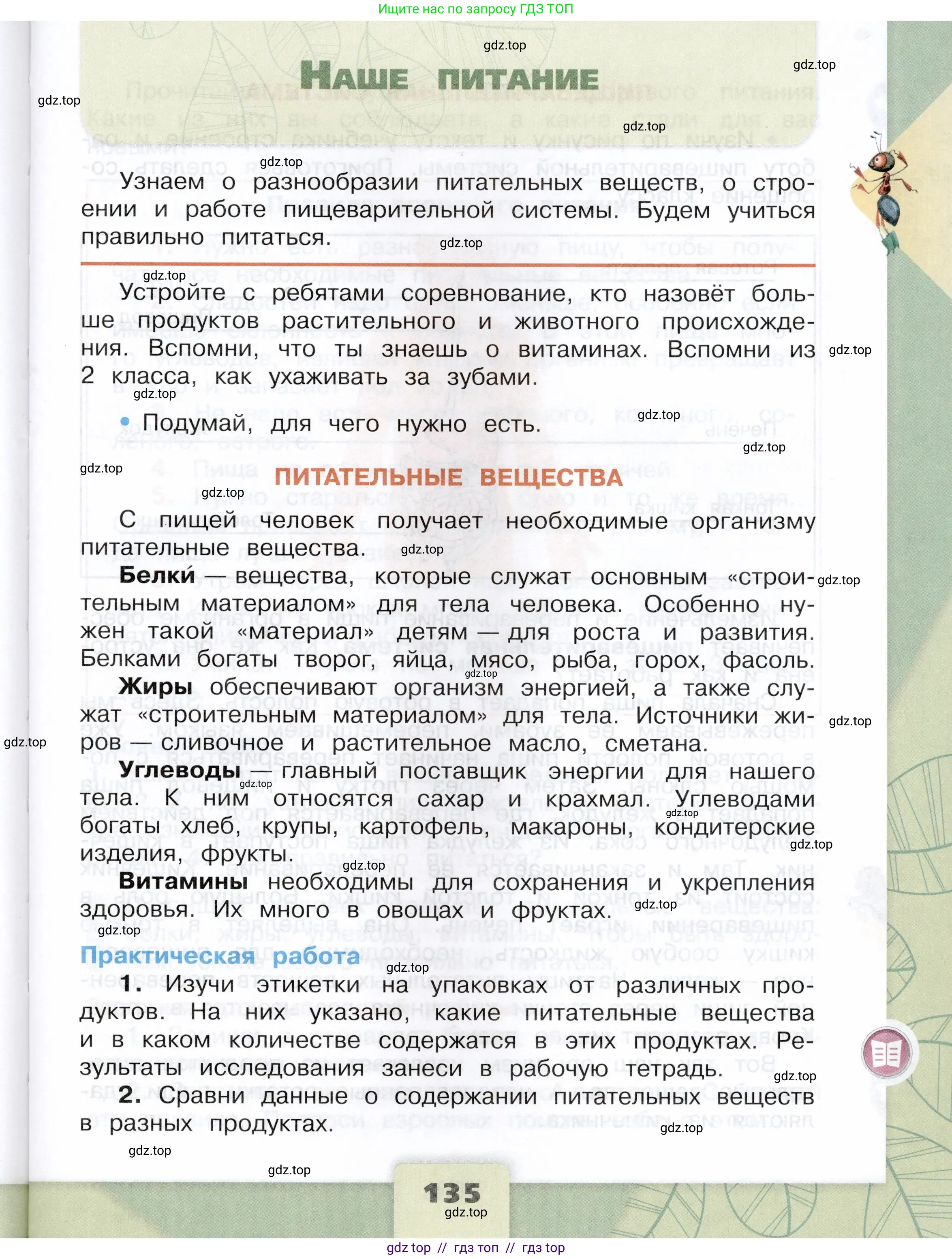 Окружающий мир, 3 класс Учебник, автор: Плешаков Андрей Анатольевич, издательство Просвещение, Москва, 2023, белого цвета, Часть 1, страница 135