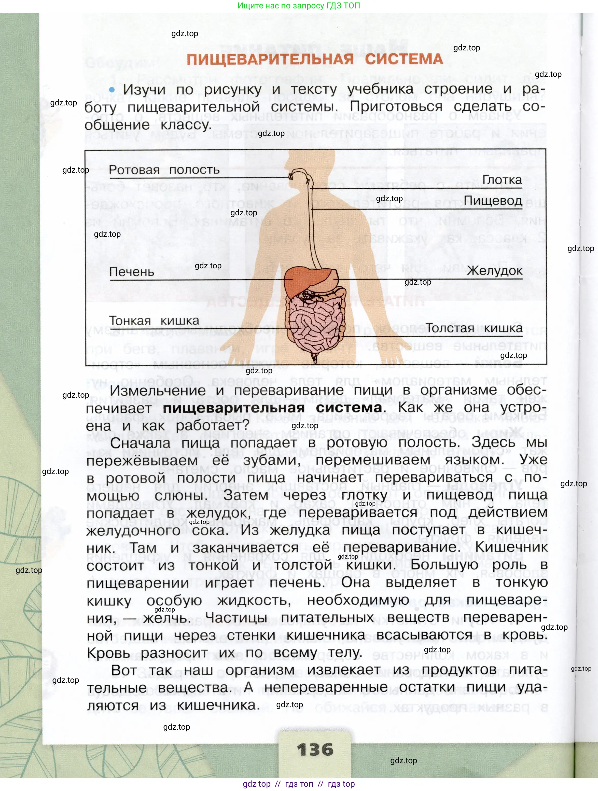 Окружающий мир, 3 класс Учебник, автор: Плешаков Андрей Анатольевич, издательство Просвещение, Москва, 2023, белого цвета, страница 136