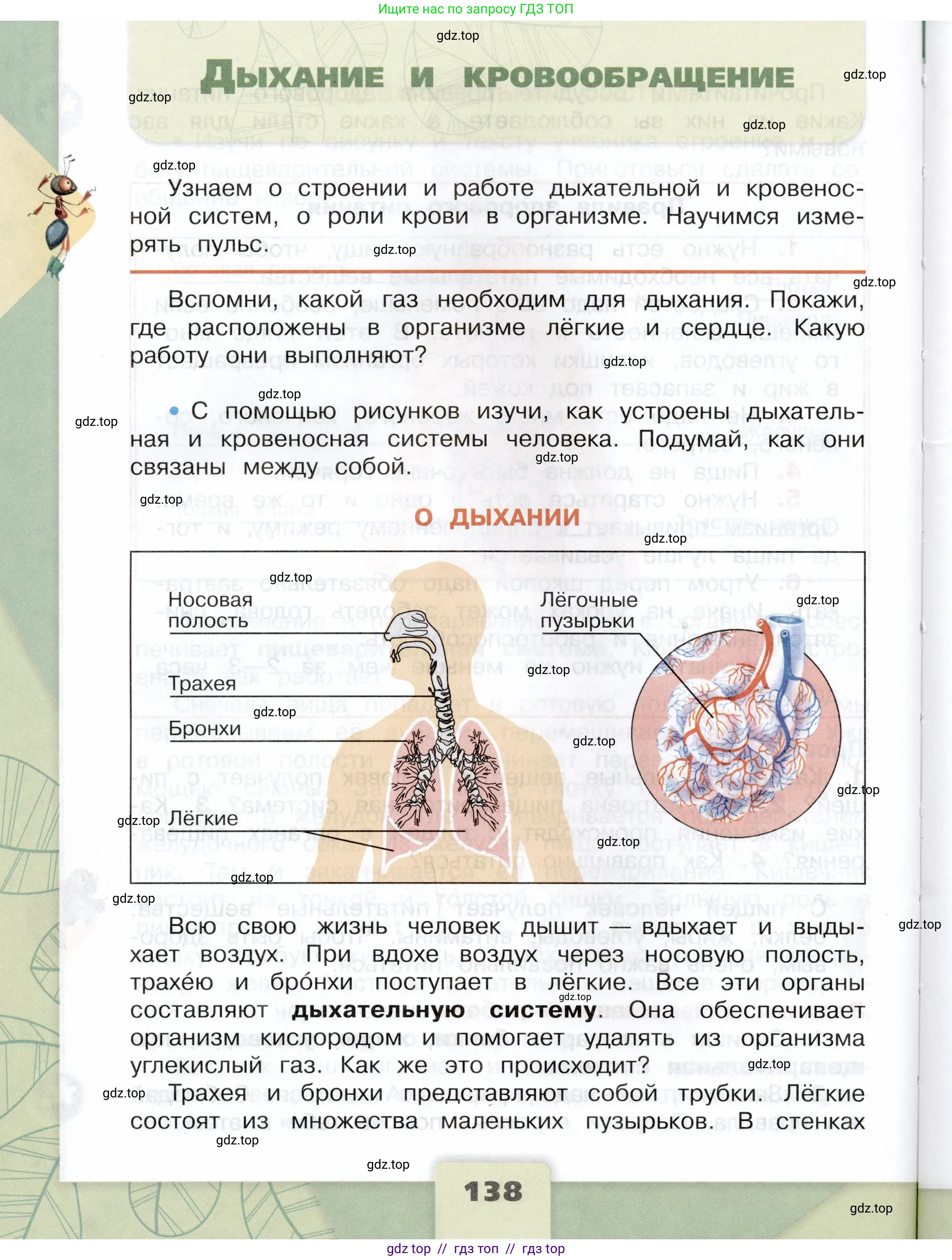 Окружающий мир, 3 класс Учебник, автор: Плешаков Андрей Анатольевич, издательство Просвещение, Москва, 2023, белого цвета, Часть 1, страница 138