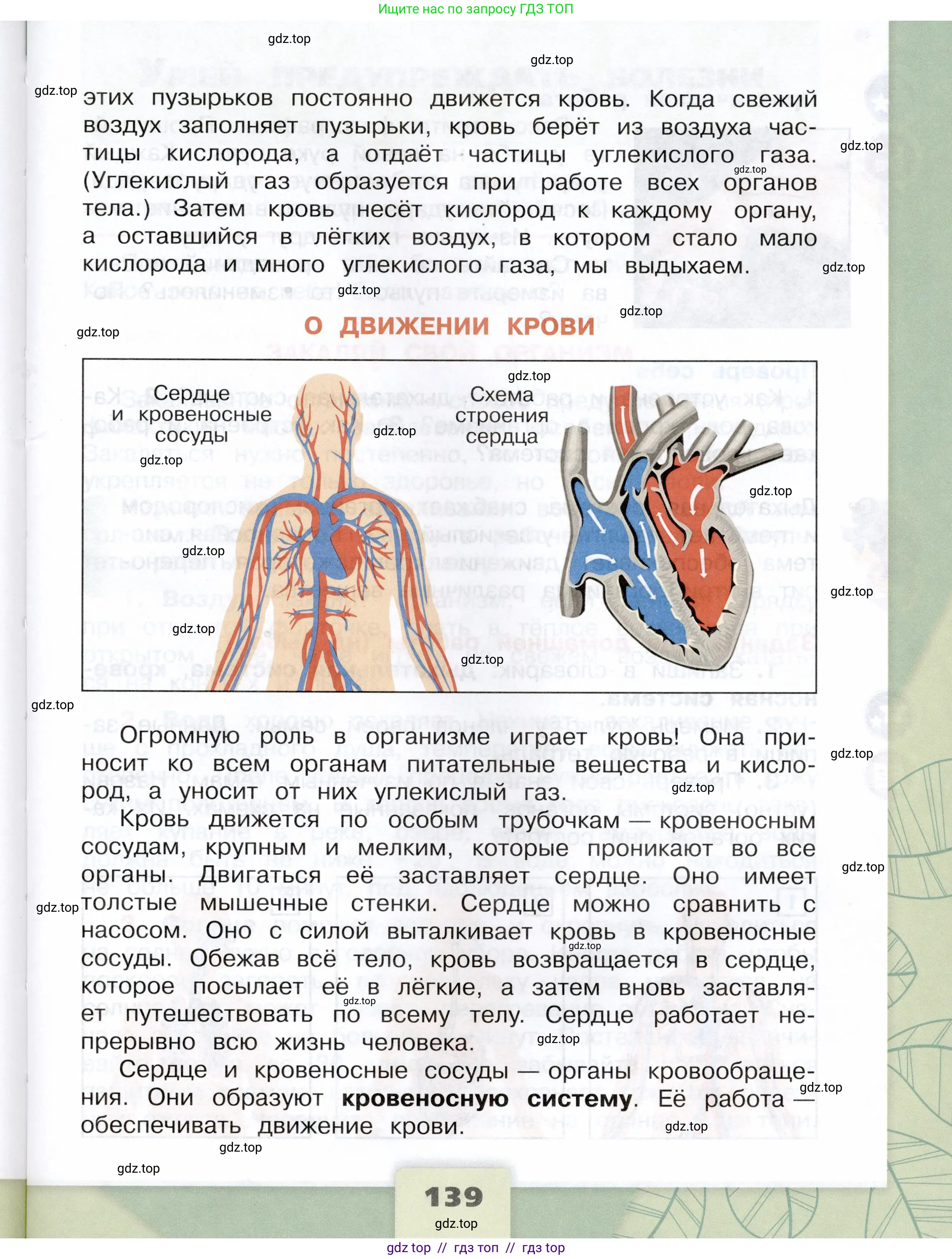 Окружающий мир, 3 класс Учебник, автор: Плешаков Андрей Анатольевич, издательство Просвещение, Москва, 2023, белого цвета, страница 139