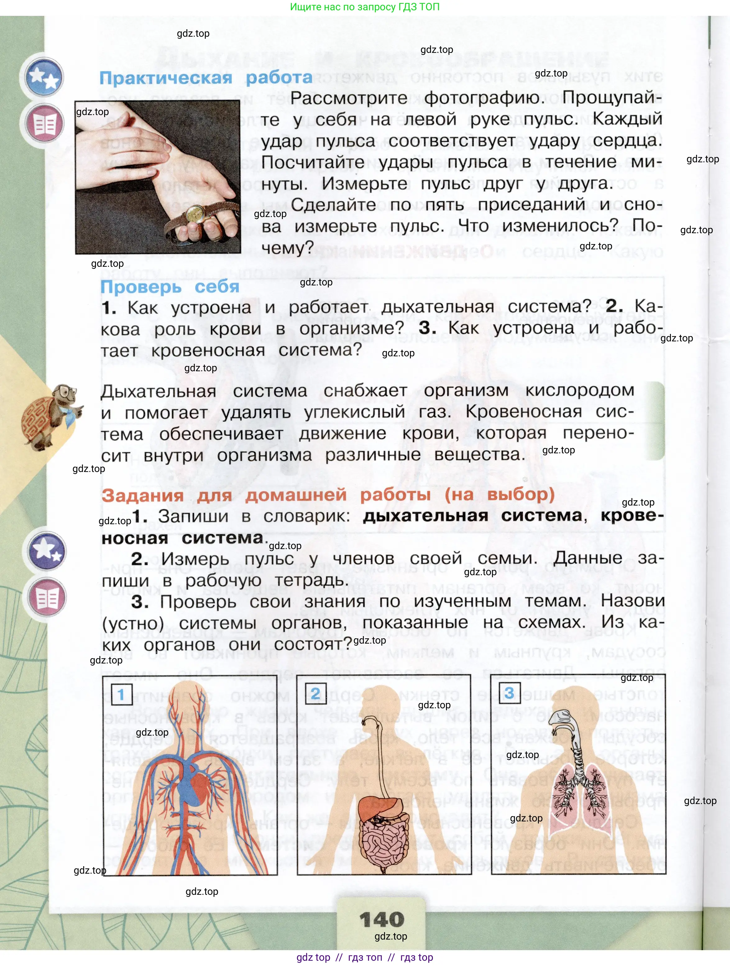 Окружающий мир, 3 класс Учебник, автор: Плешаков Андрей Анатольевич, издательство Просвещение, Москва, 2023, белого цвета, страница 140