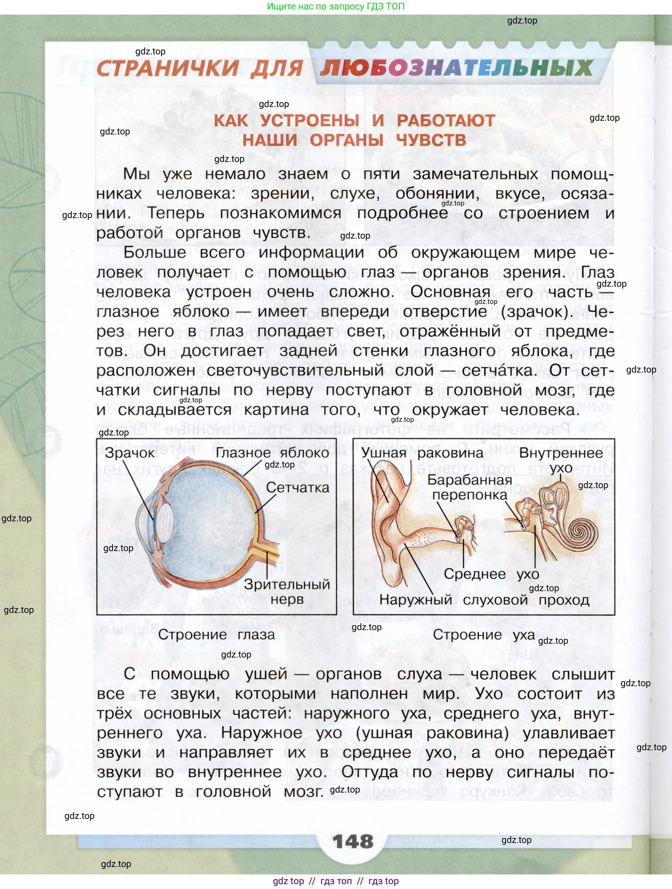 Окружающий мир, 3 класс Учебник, автор: Плешаков Андрей Анатольевич, издательство Просвещение, Москва, 2023, белого цвета, страница 148